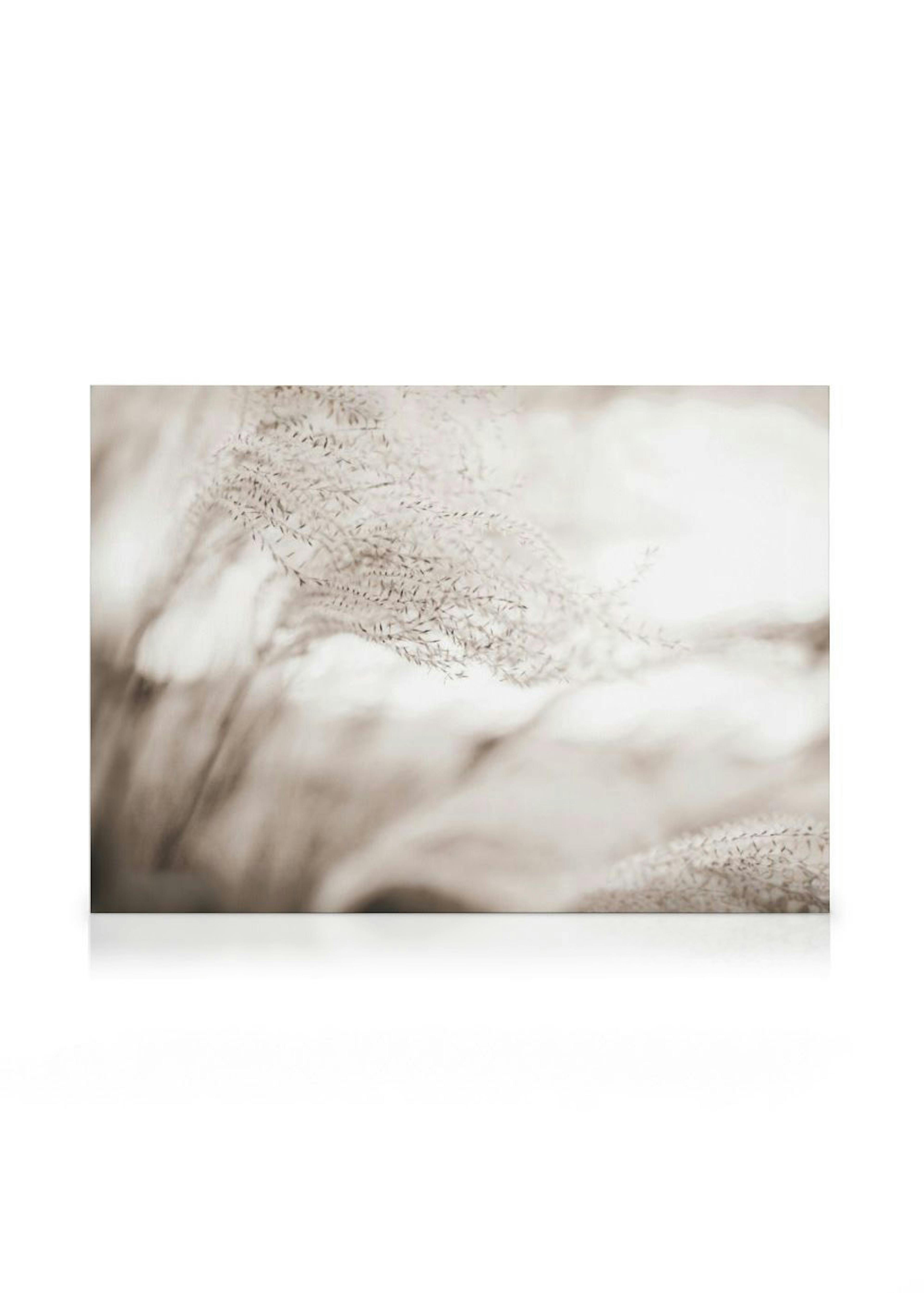 Stampa su tela di delicate spighe di grano o erba con toni neutri e tenui, effetto sfocato e soft.