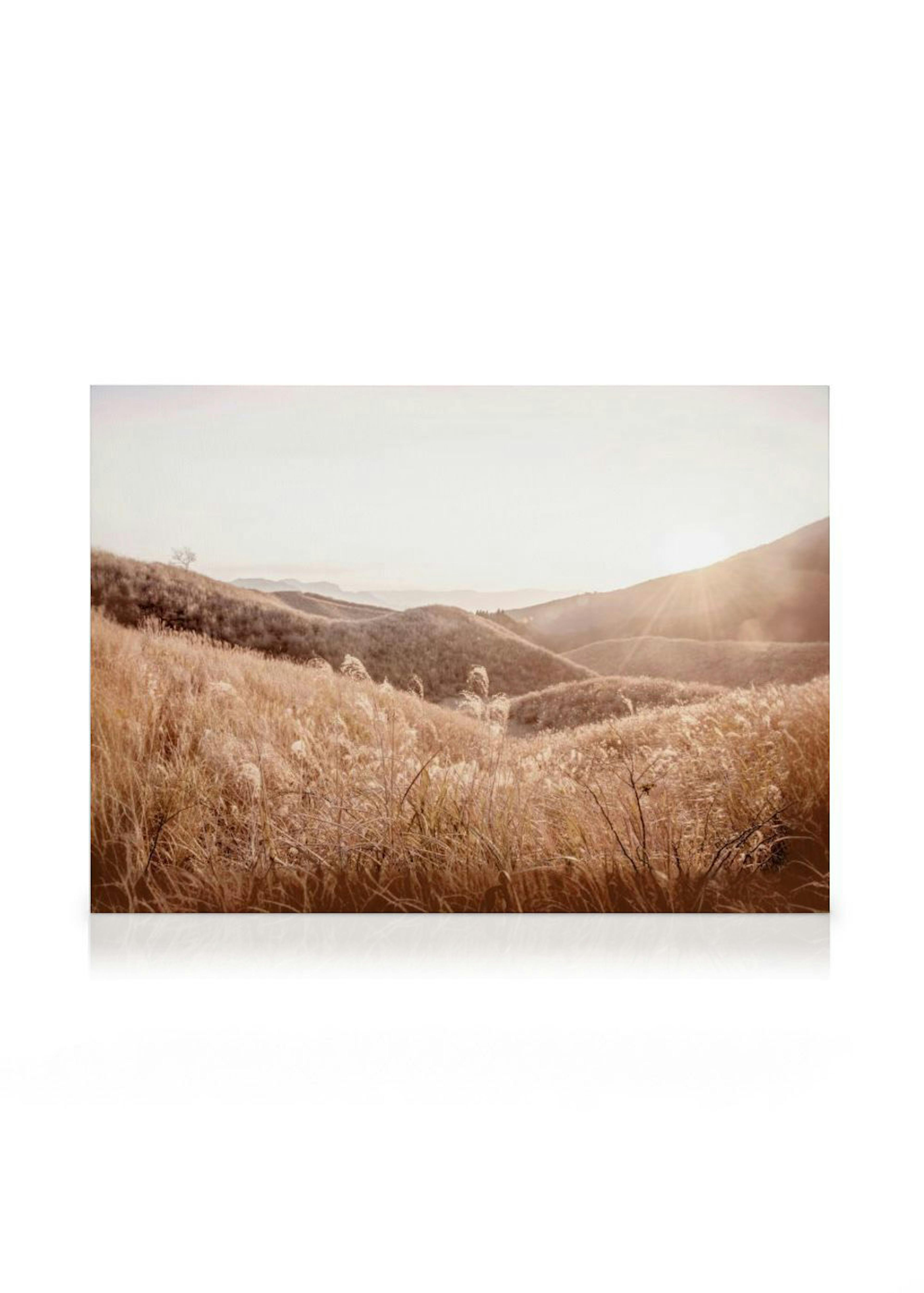 A canvas displaying a golden field of tall grass on rolling hills under a bright sun with prominent rays.