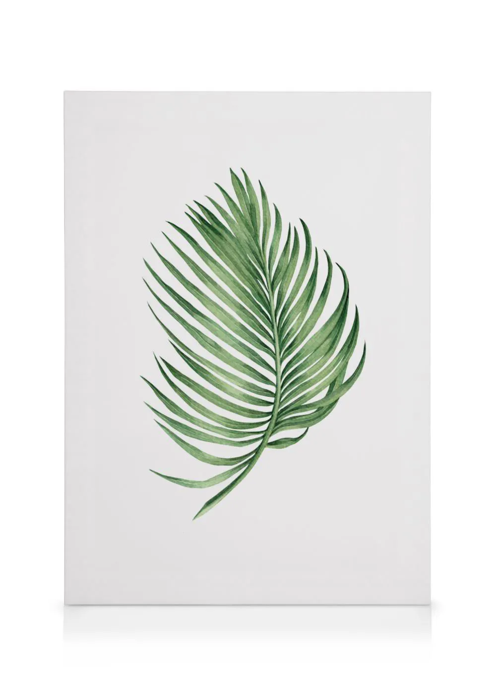 A minimalist canvas with a single green palm frond on a white background, perfect for a tropical feel.