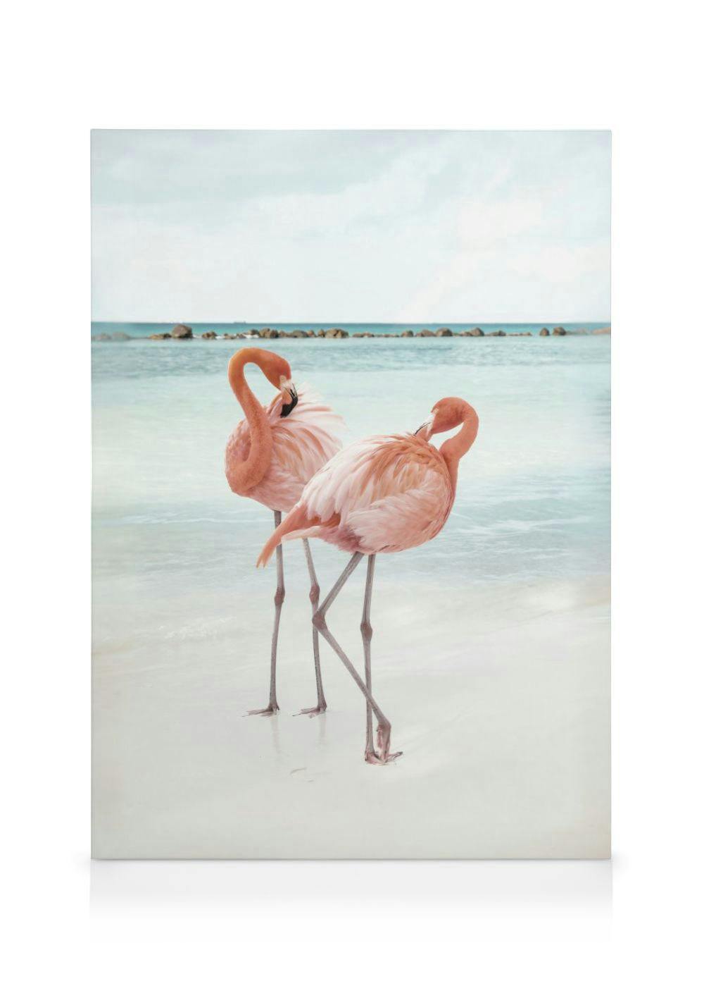 Flamingo Love Canvas Print (50x70 cm - Black Frame) - Poster Store High Quality Picture Frames