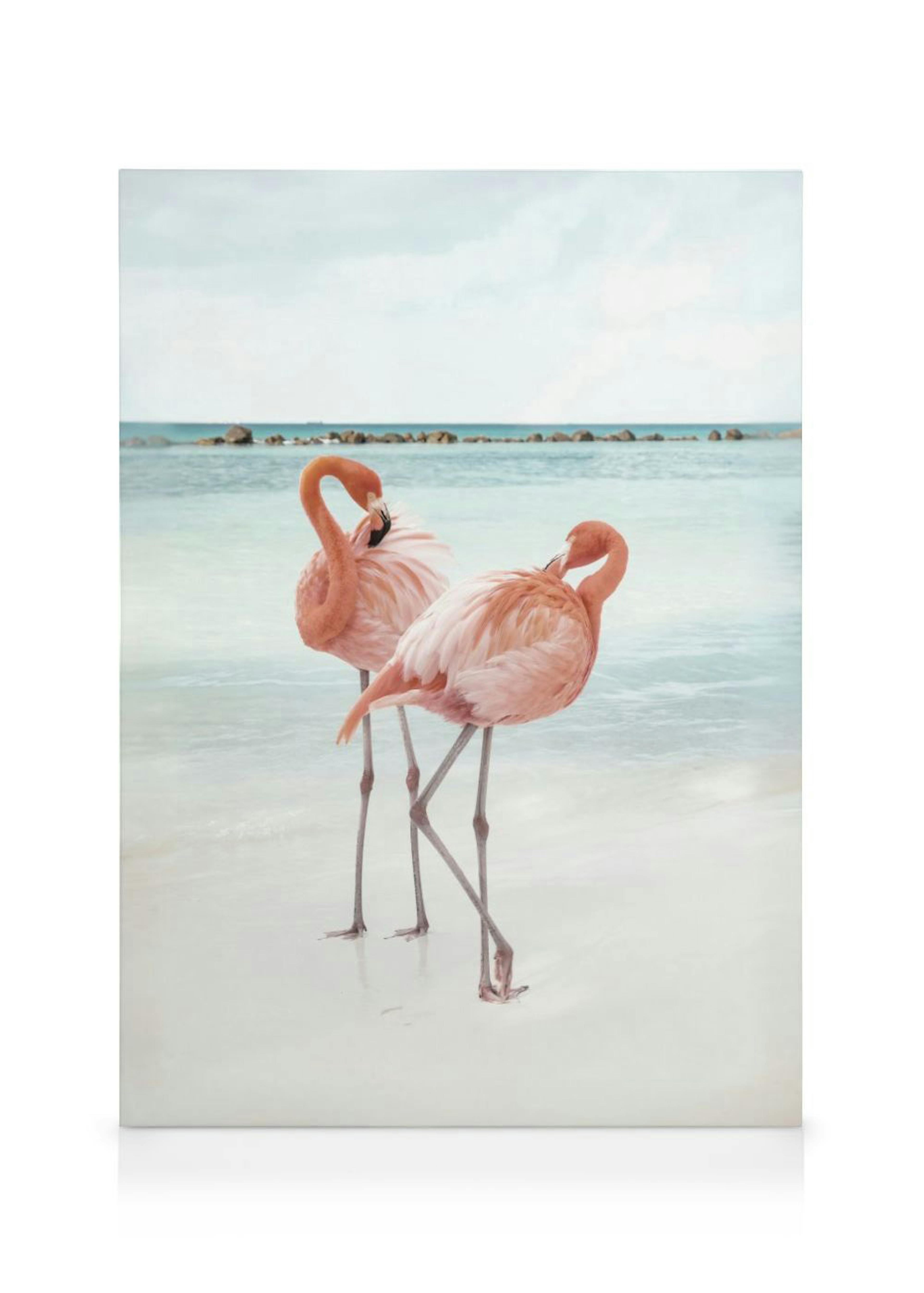 Flamingo Liebe Leinwandbild 0