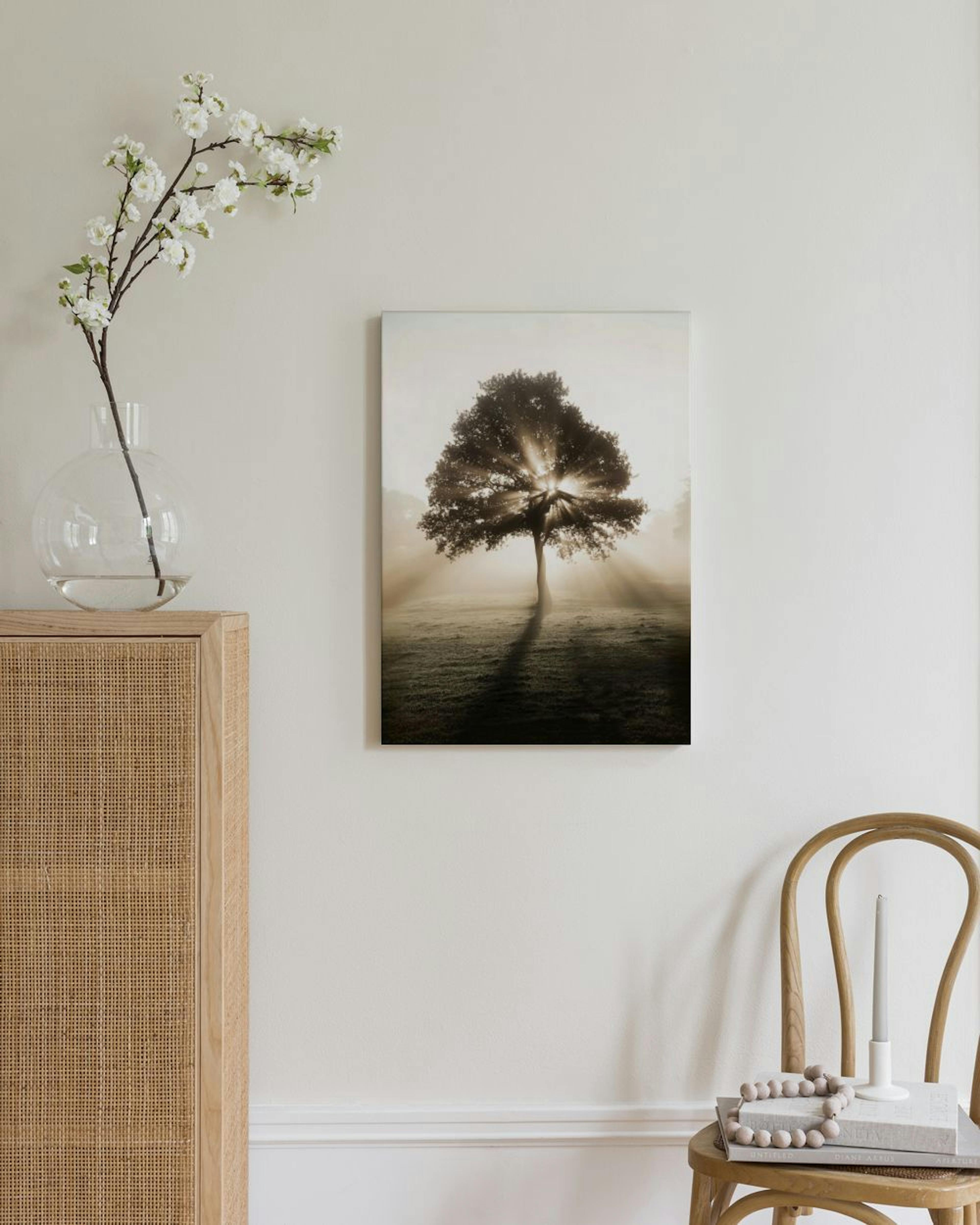 Zonsopgang Boom Canvas thumbnail