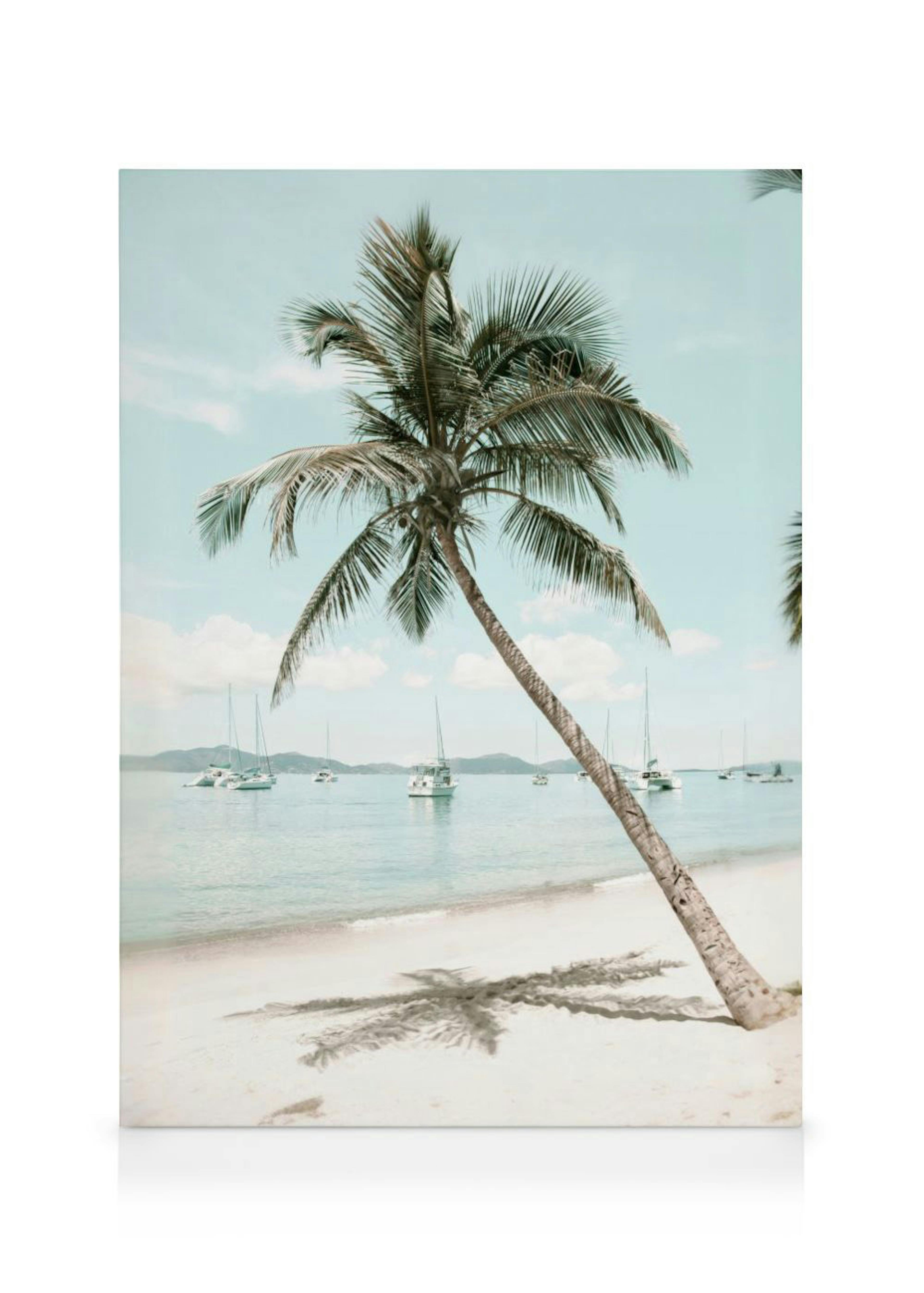 Een canvas met een palmboom die over een wit zandstrand buigt, met een azuurblauwe zee en zeilboten op de achtergrond.