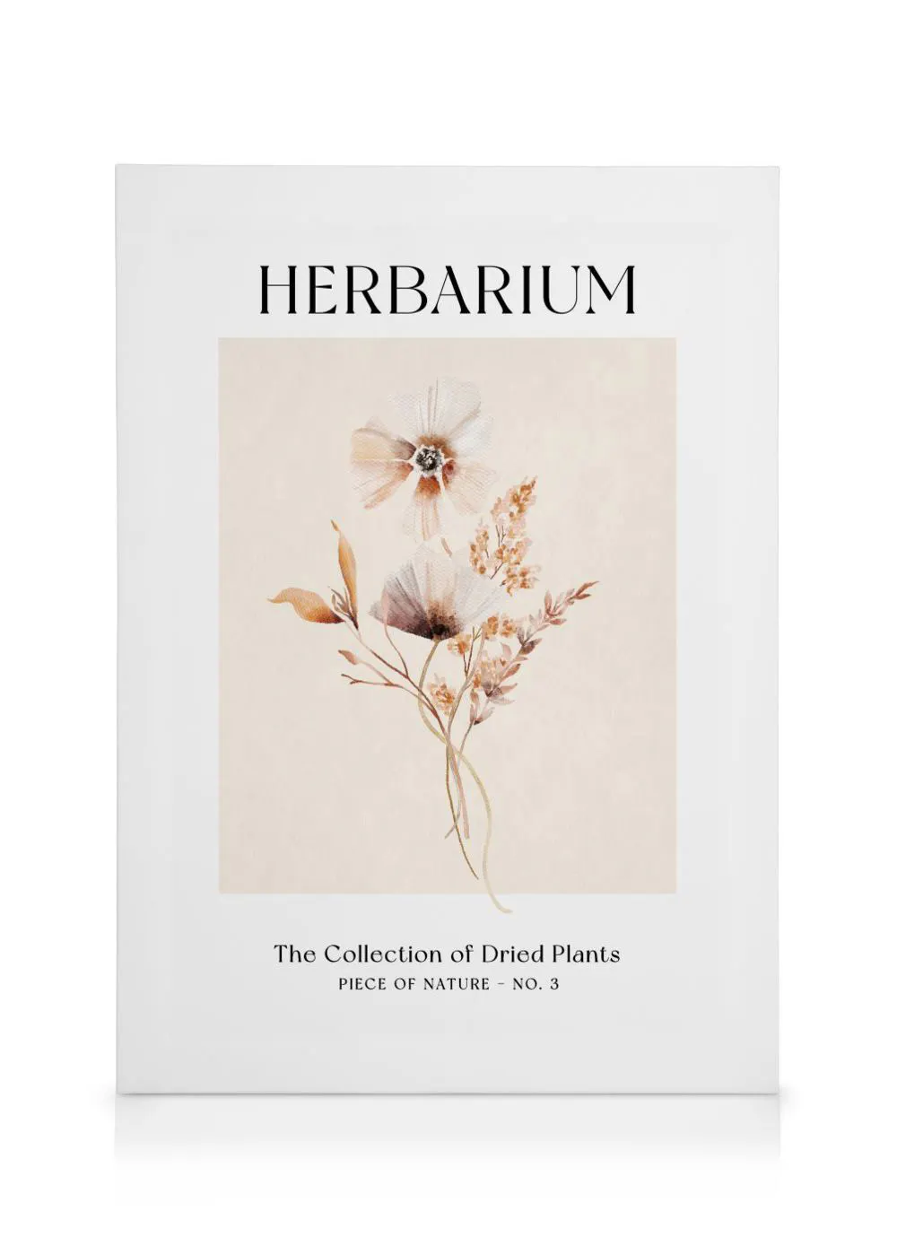 A canvas featuring HERBARIUM text above a watercolour illustration of dried flowers and foliage in muted tones.