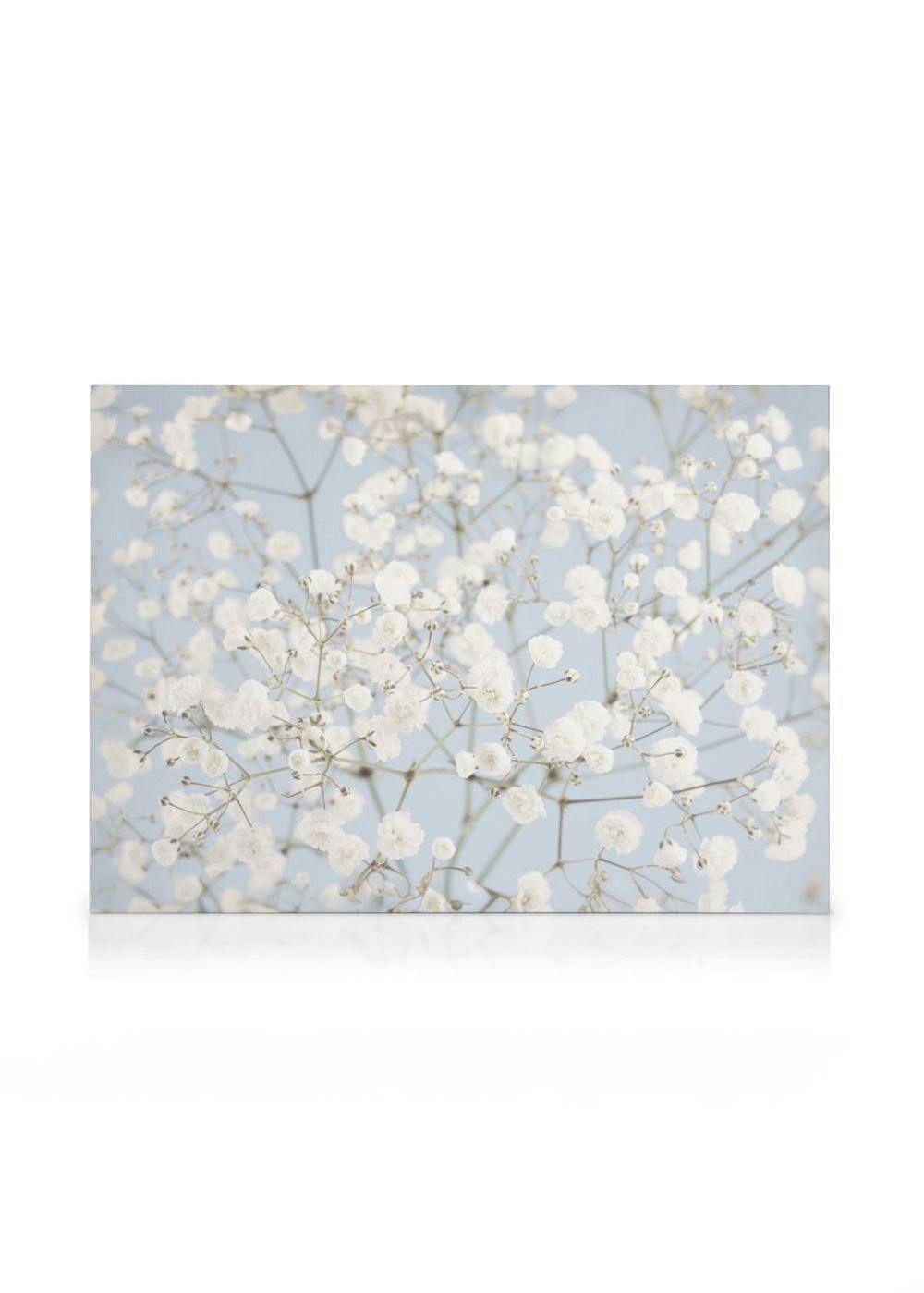 Leinwandbild mit weißen Schleierkrautblüten auf zartblauem Hintergrund, die eine ruhige, florale Ästhetik schaffen.