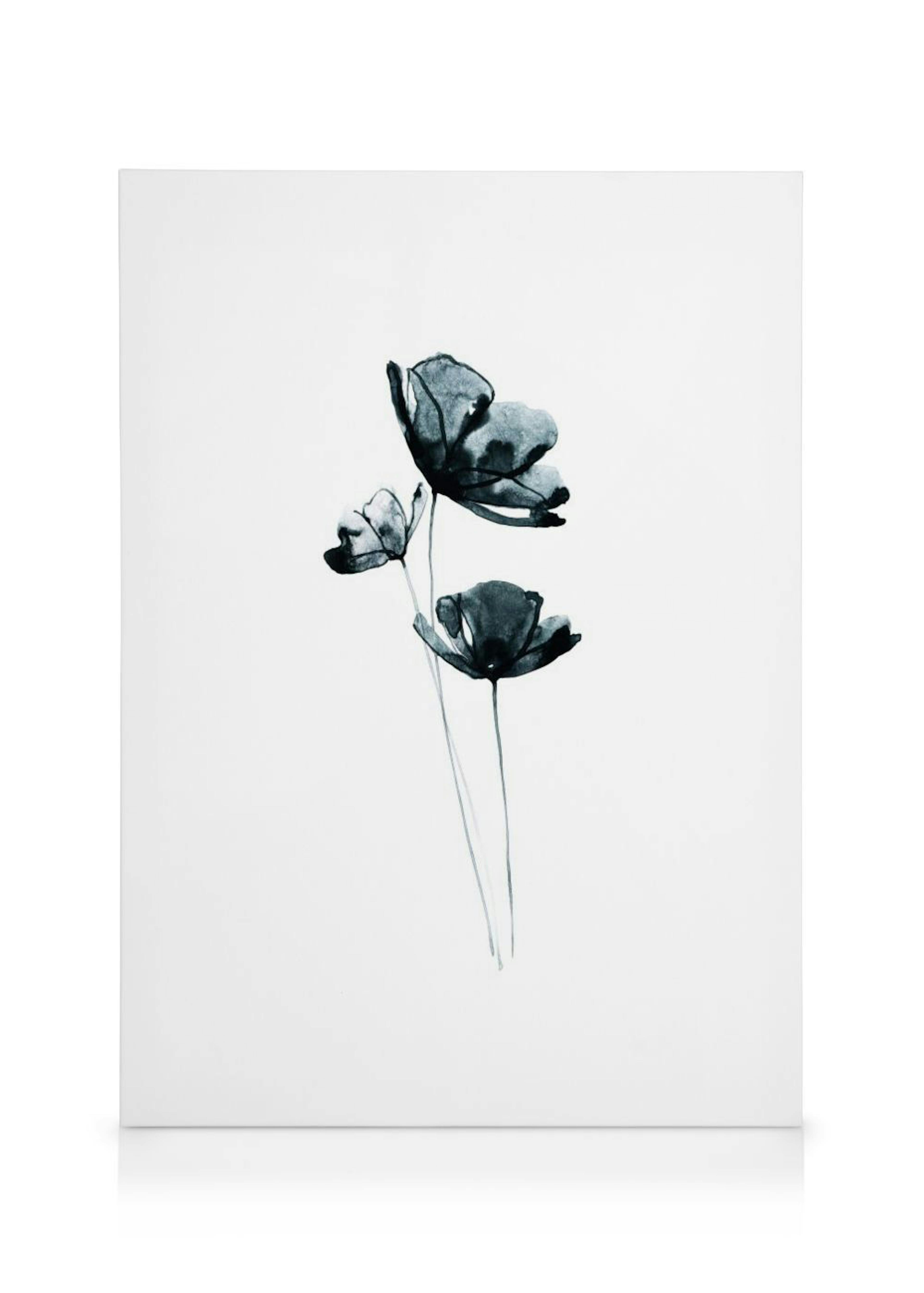 Dark Flowers Stampa su Tela 0