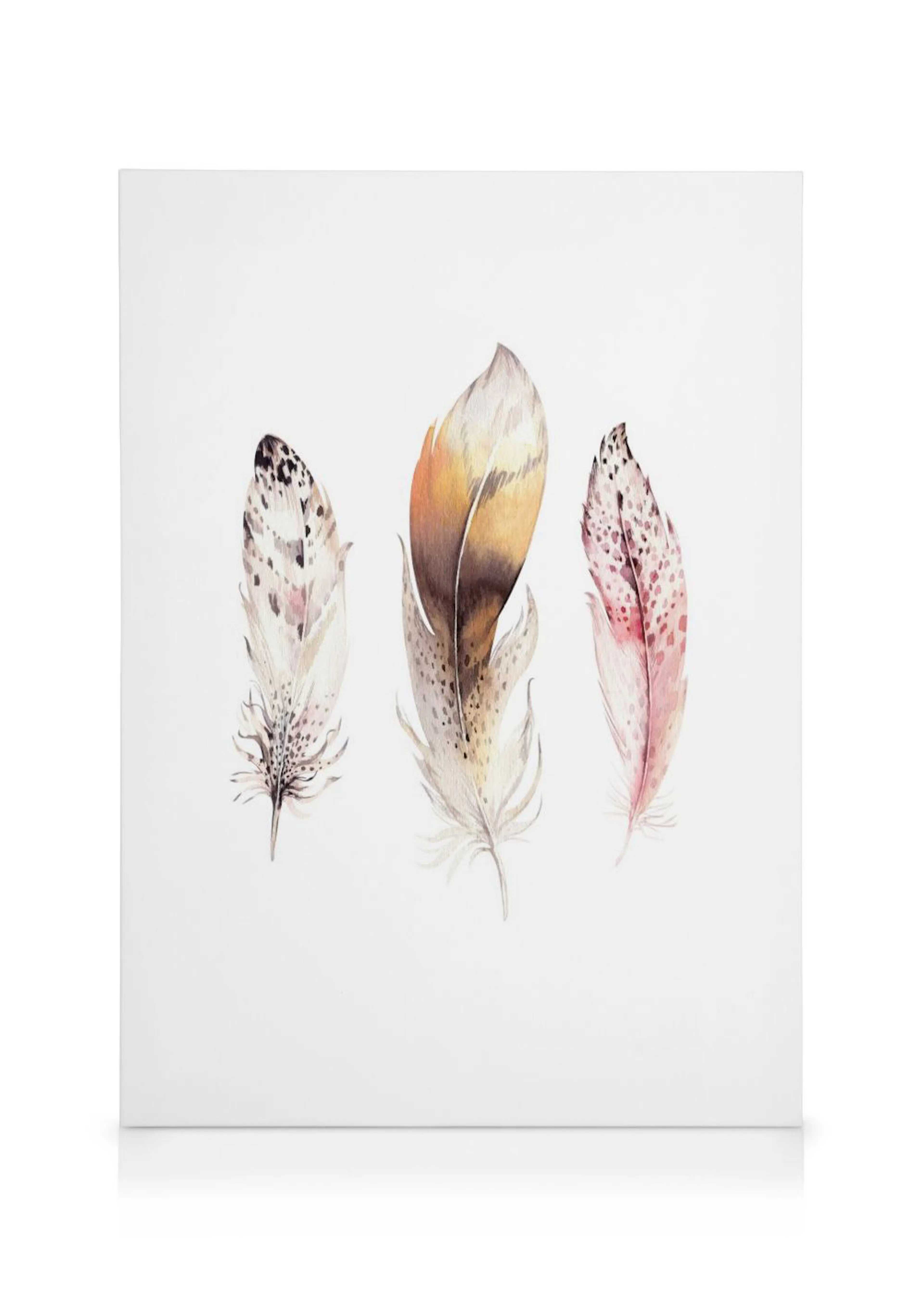 A canvas displaying three watercolour feathers in brown, beige, and pink tones on a white background.