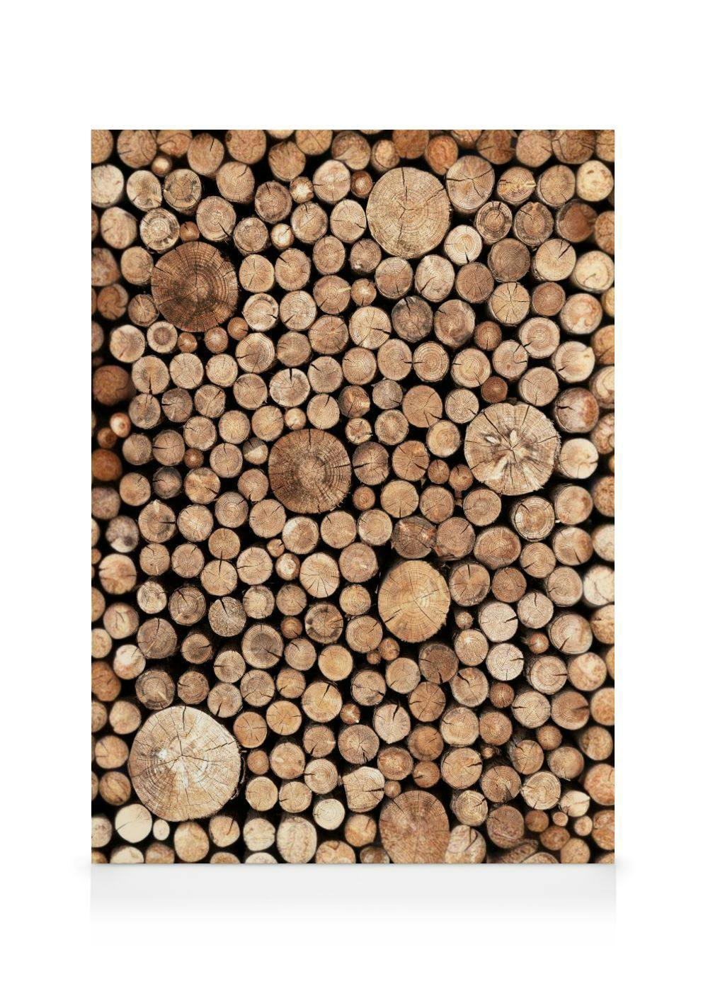 A canvas displaying a stack of cut wooden logs with various sizes and visible tree rings.