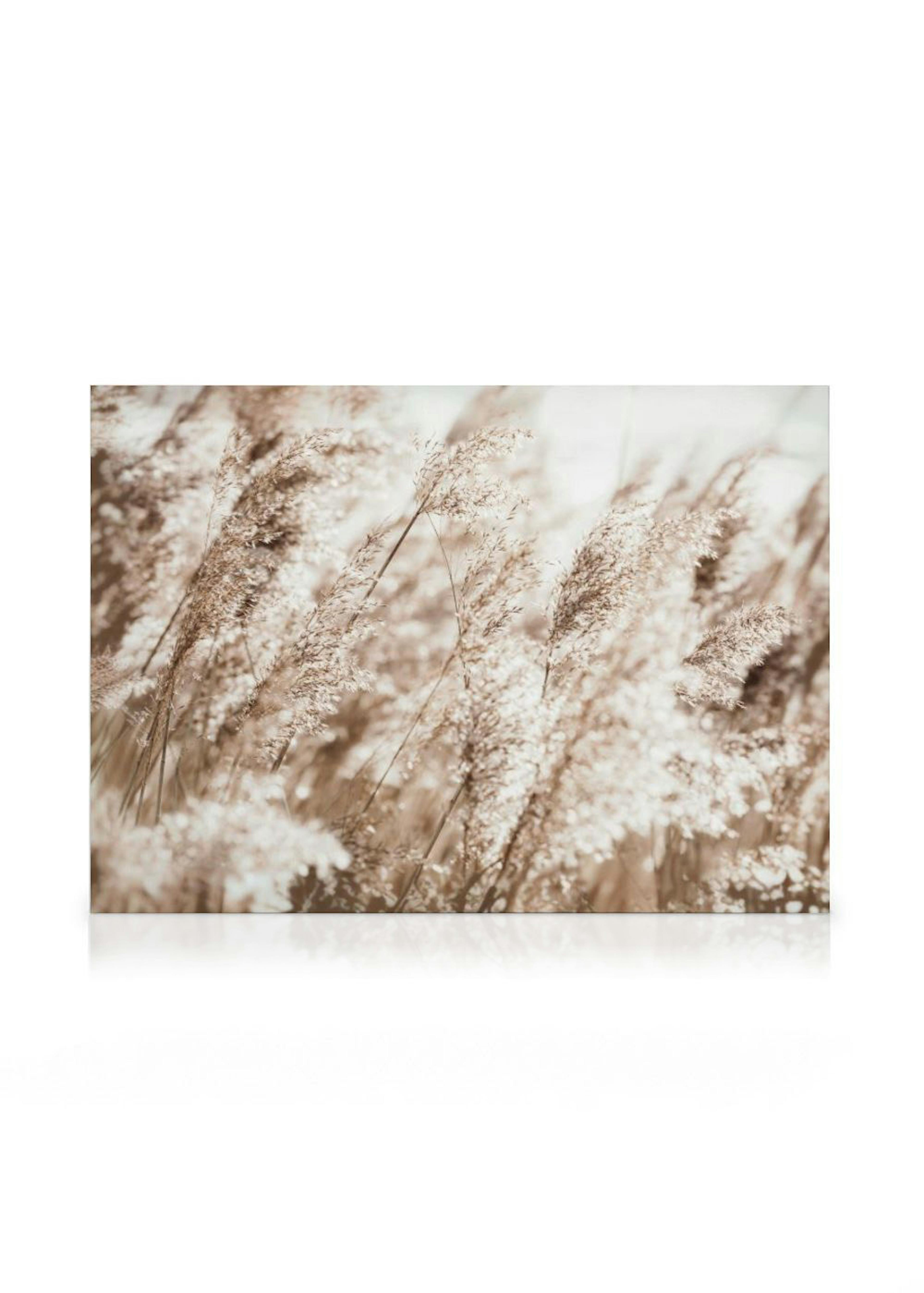 A canvas featuring a field of light brown dried reeds swaying in the wind, with a bright background.