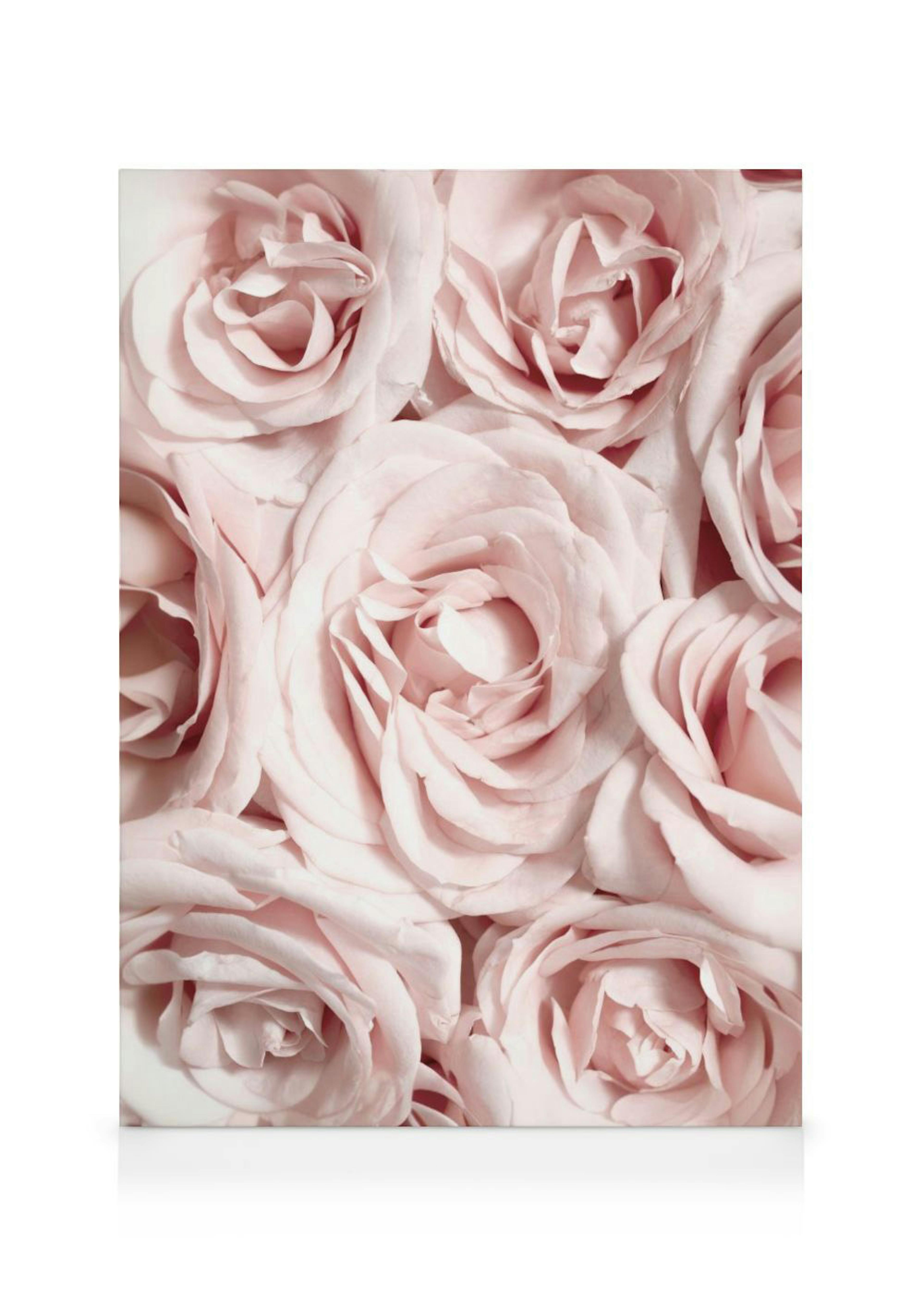 Wand der Rosen Leinwandbild 0