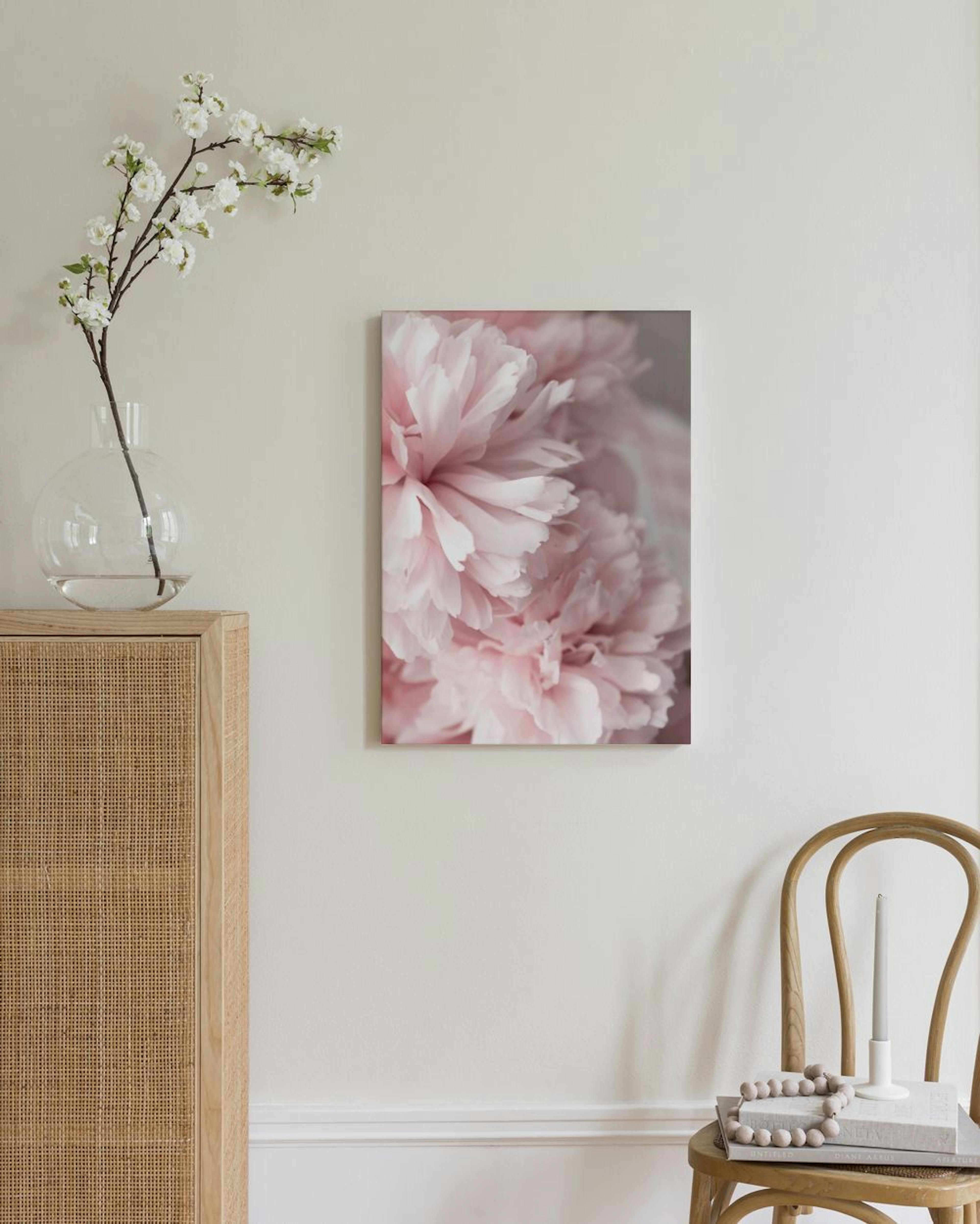 Pink Peonies Close Up Stampa su Tela thumbnail