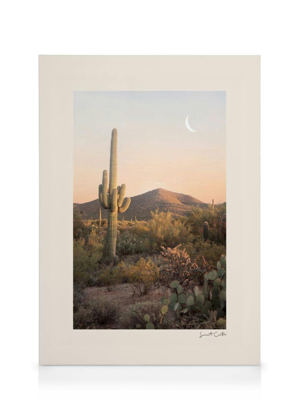 Canvastavlor - Solnedgångskaktus canvastavla (50 x 70 cm - Svart ram) - Poster Store