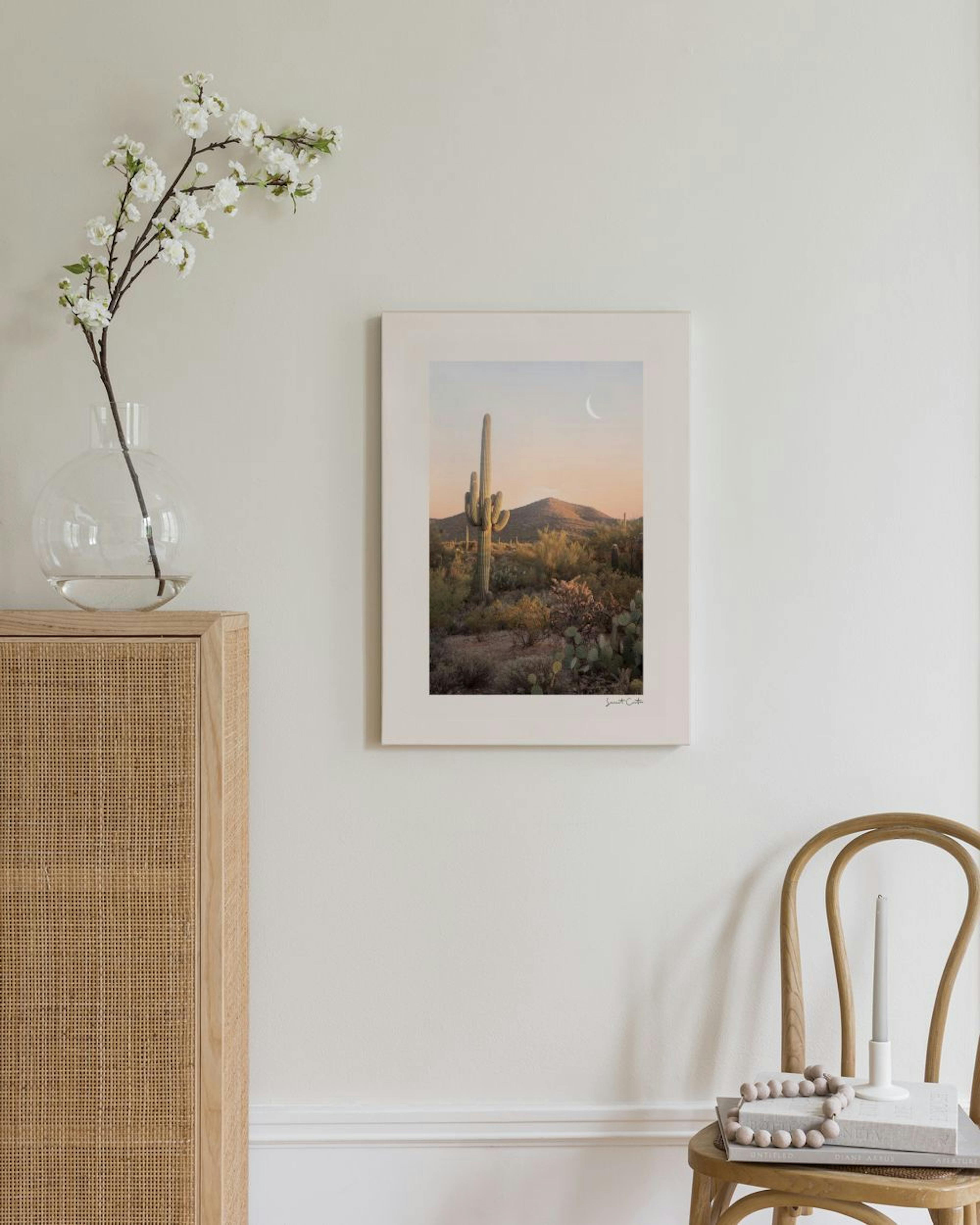 Cactus al Atardecer Lienzo thumbnail