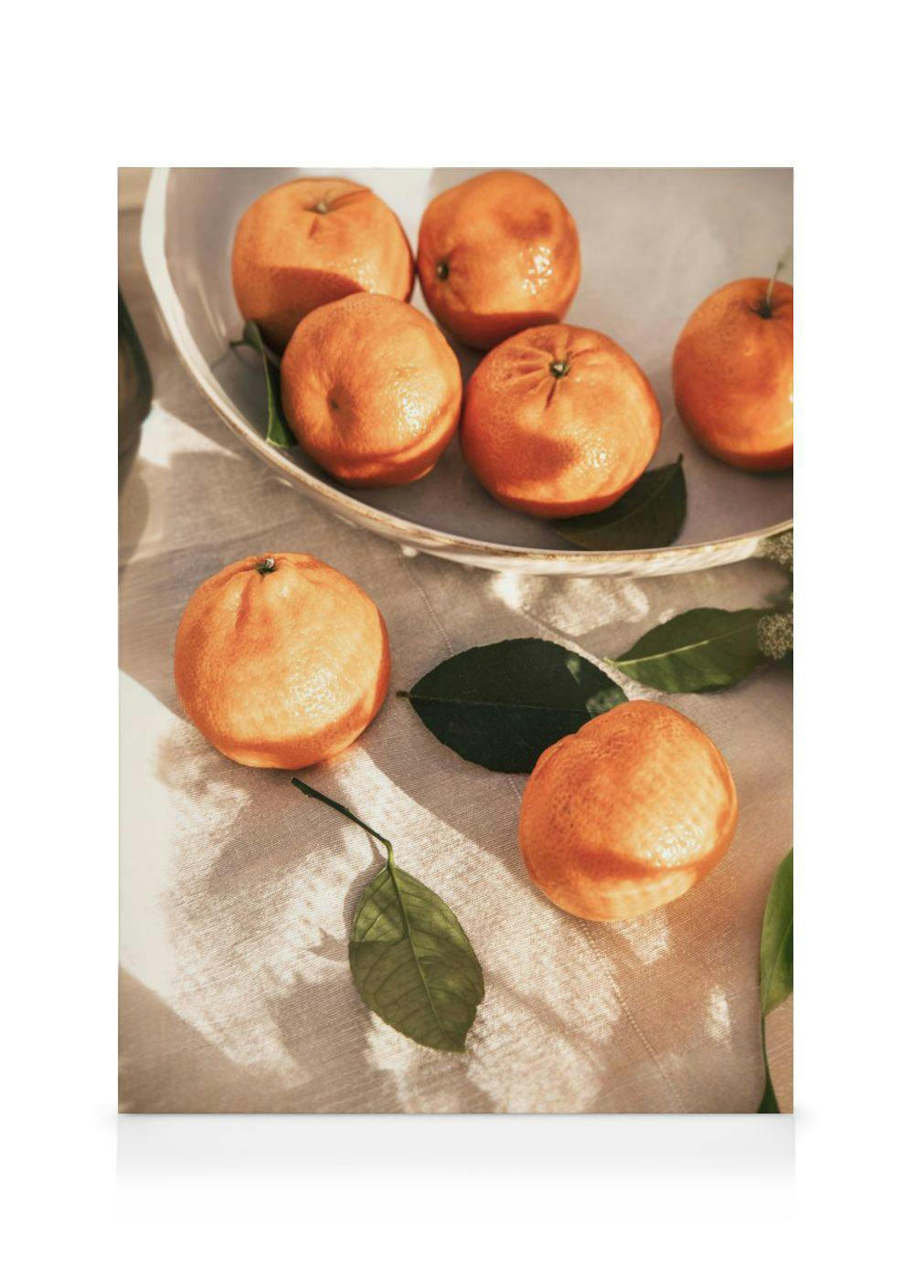 A canvas displaying bright oranges in a bowl and scattered on a light fabric, with green leaves and dappled sunlight.