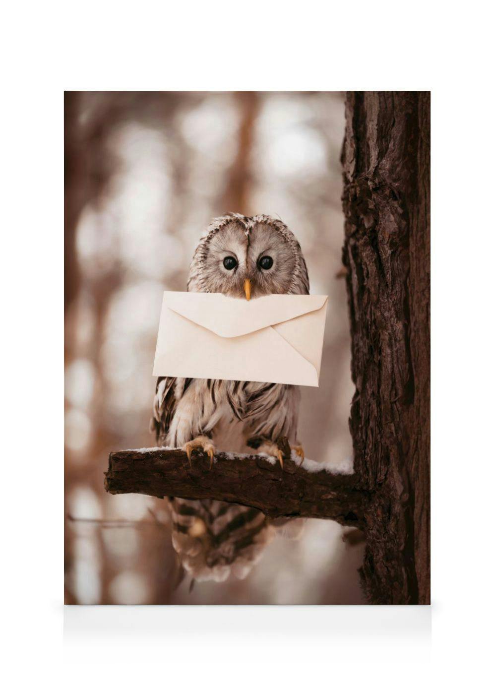 Toile Chouette Lettre (70x100 cm - Cadre de chêne) - Poster Store