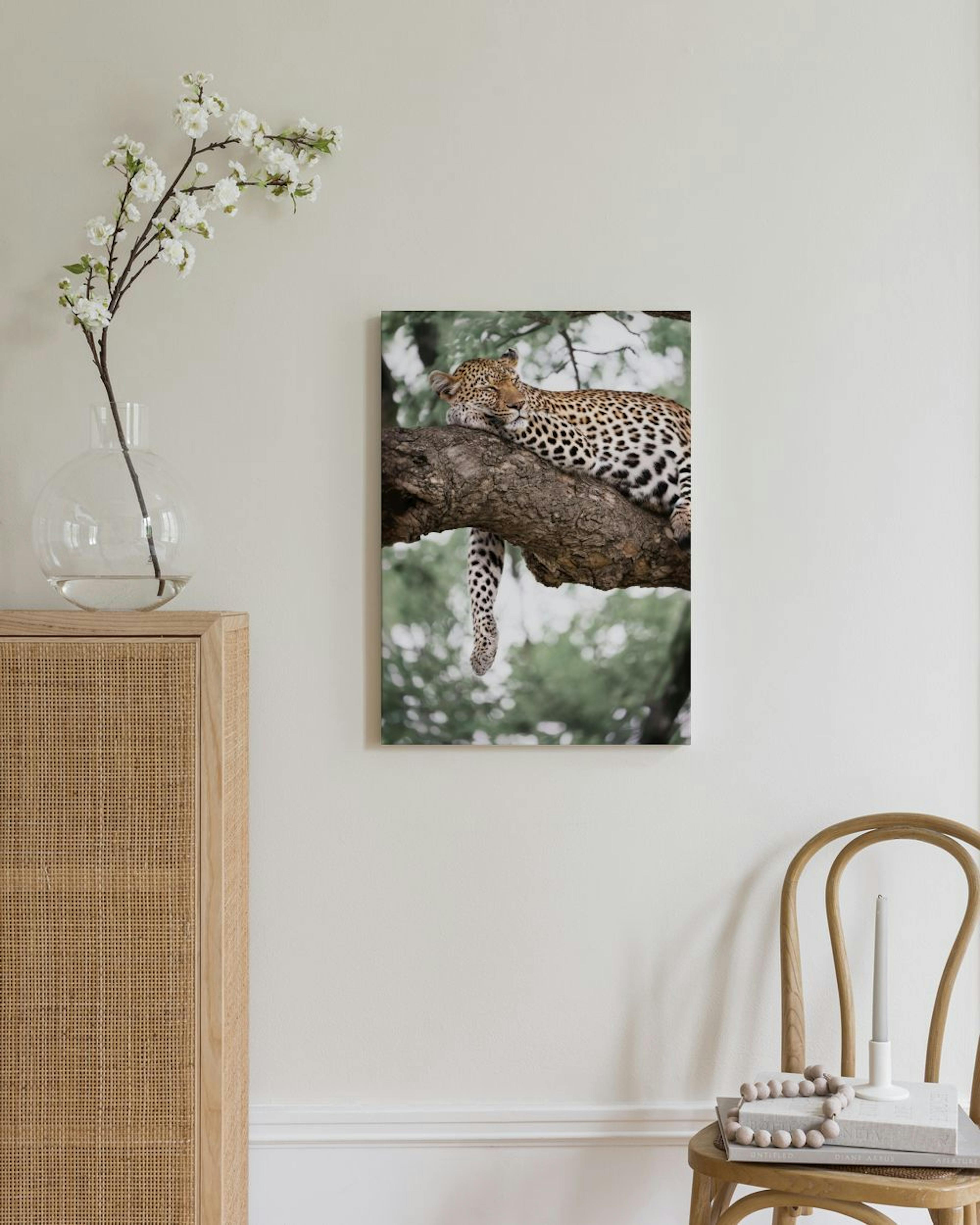 Relaxing Leopard Stampa su Tela thumbnail