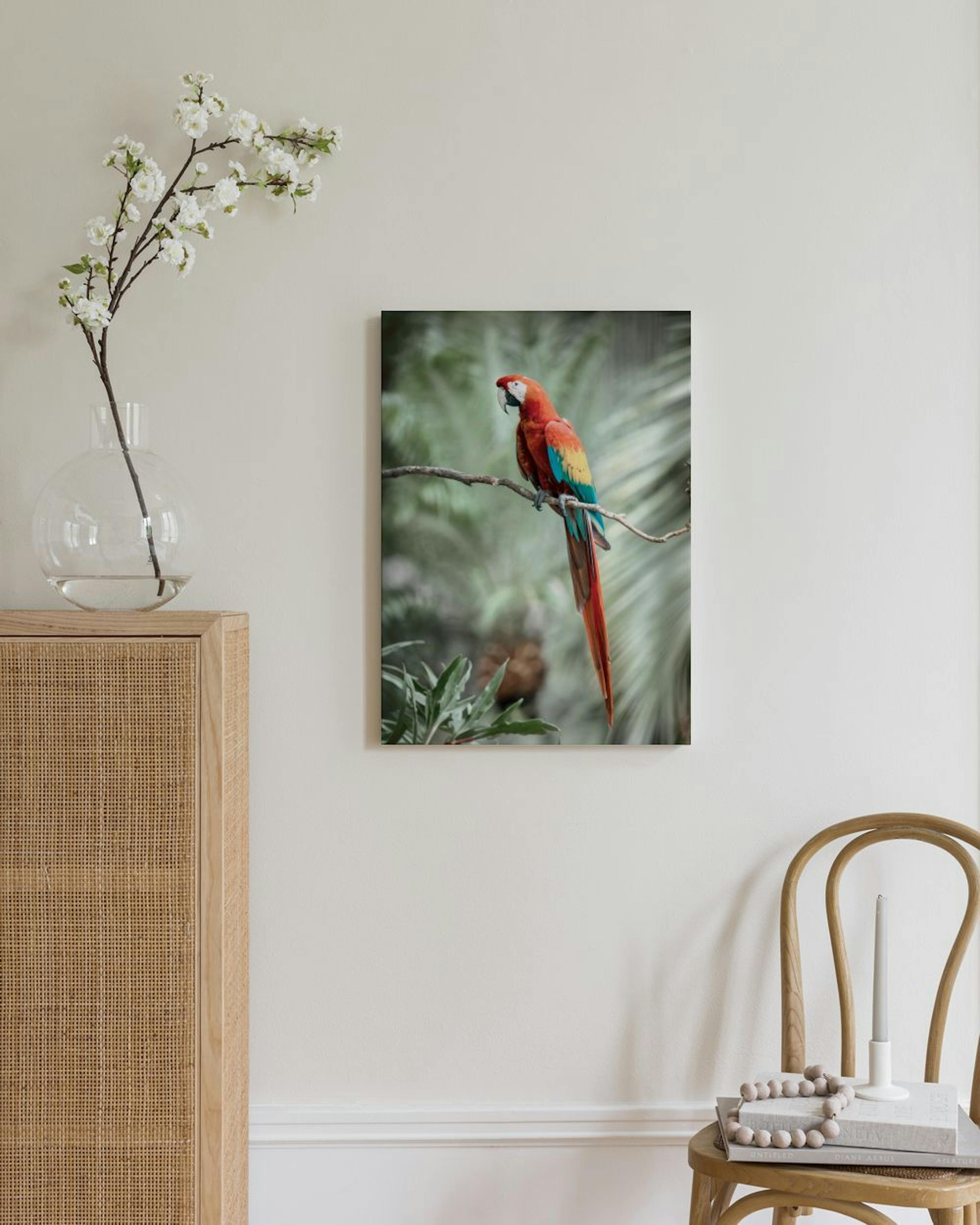 Parrot Leinwand thumbnail