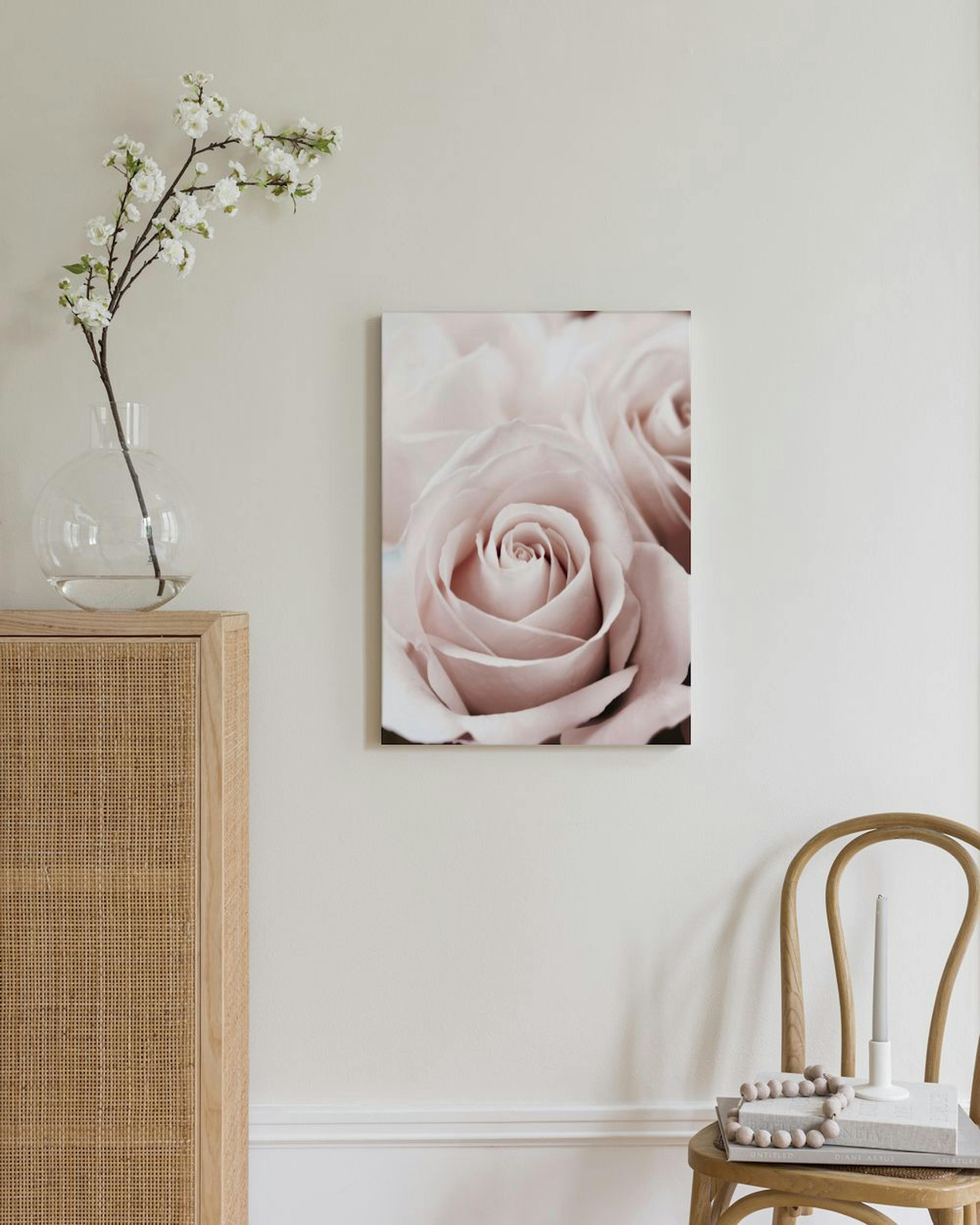 Dusty Pink Rose Canvas print thumbnail