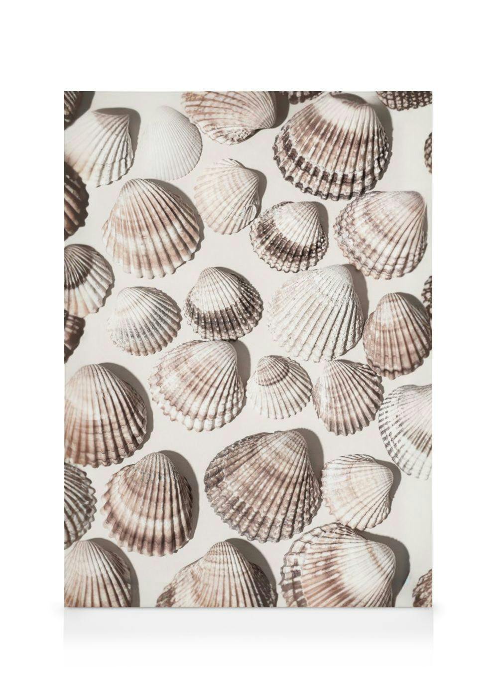 Skarby morza Obraz na płótnie (30x40 cm) - Poster Store