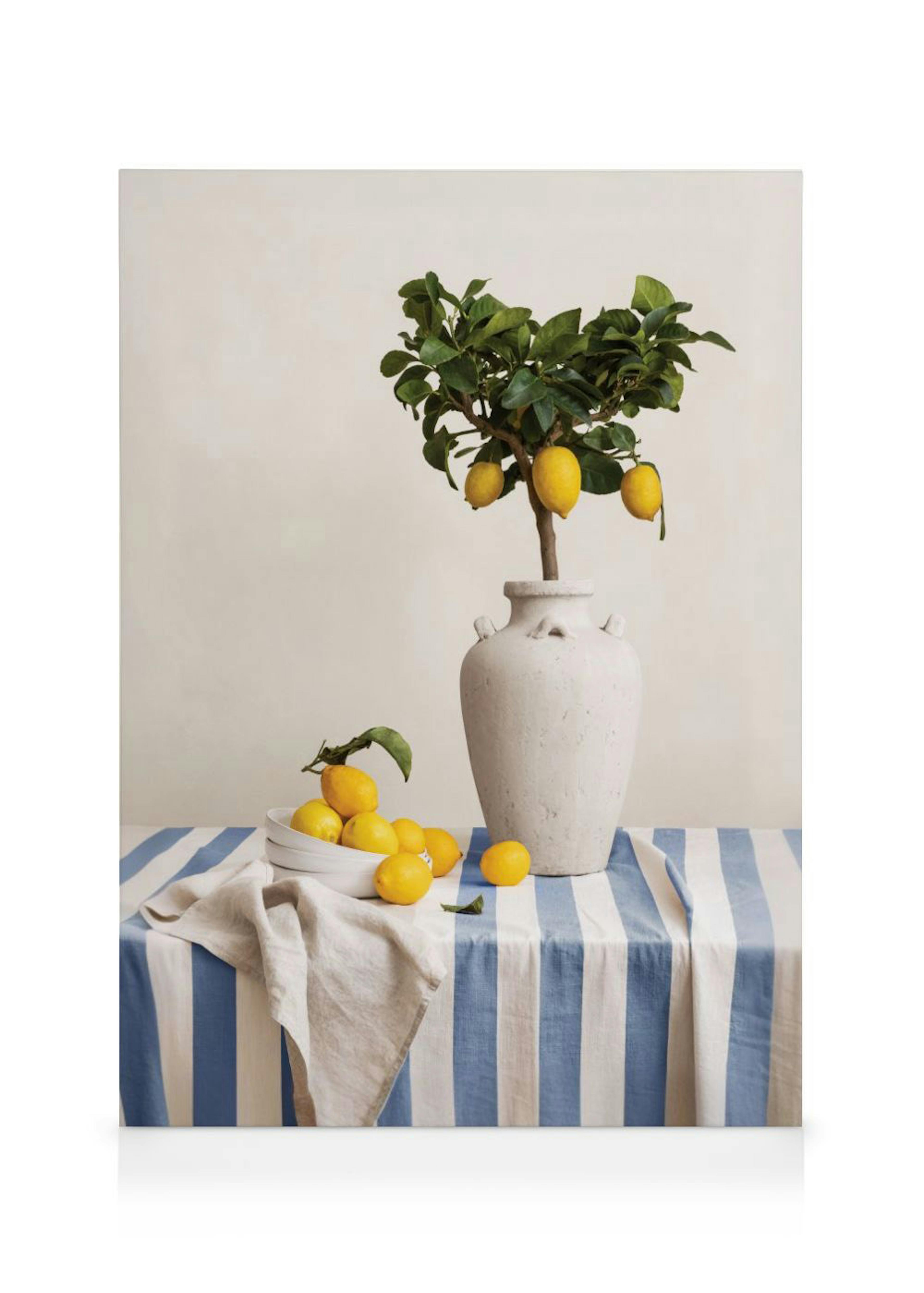 A still life canvas of a small lemon tree in a large white vase, with a bowl of lemons on a blue and white striped tablecloth.