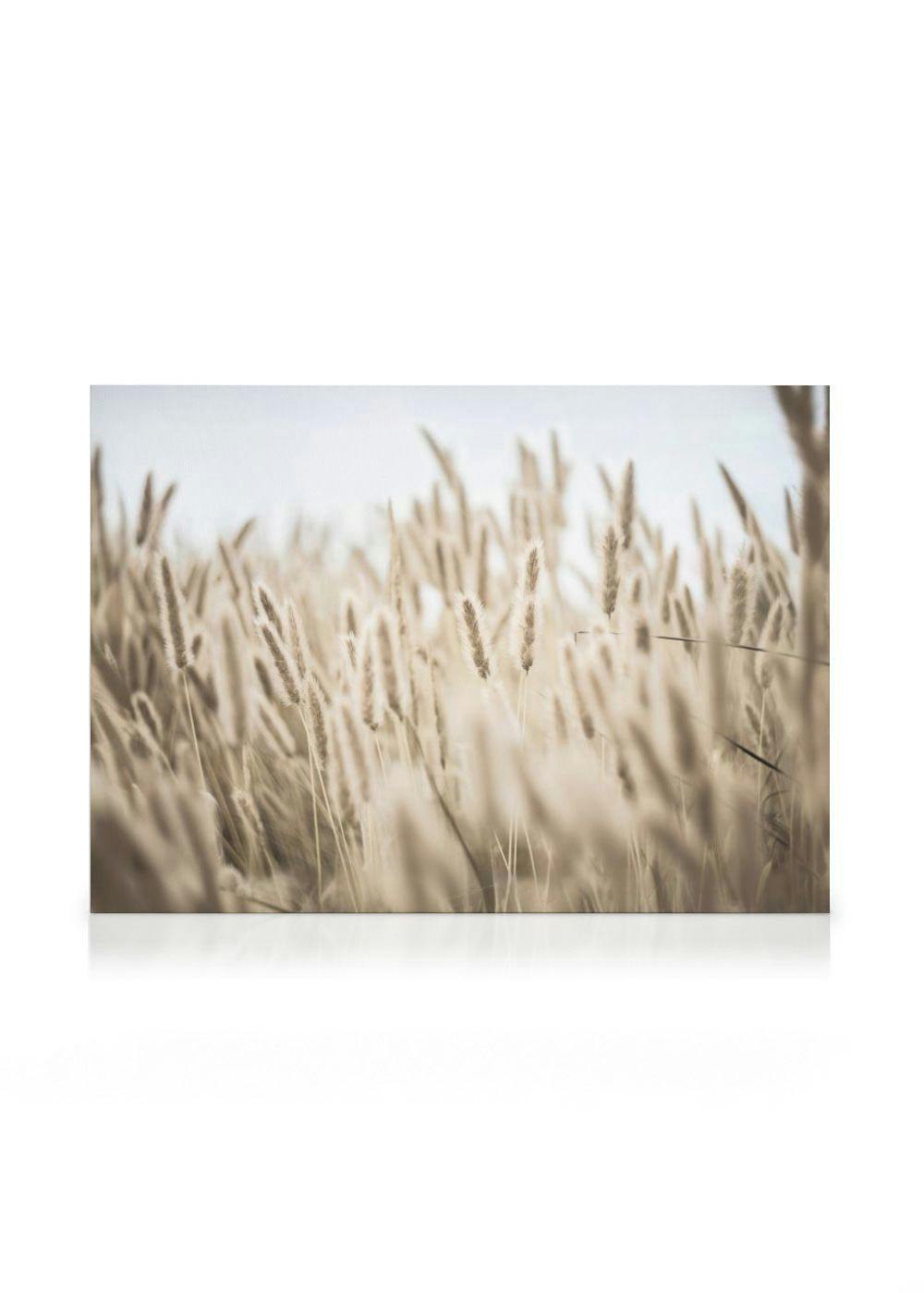 Trawa przy brzegu Obraz na płótnie (50x70 cm - Ramka dębowa) - Poster Store