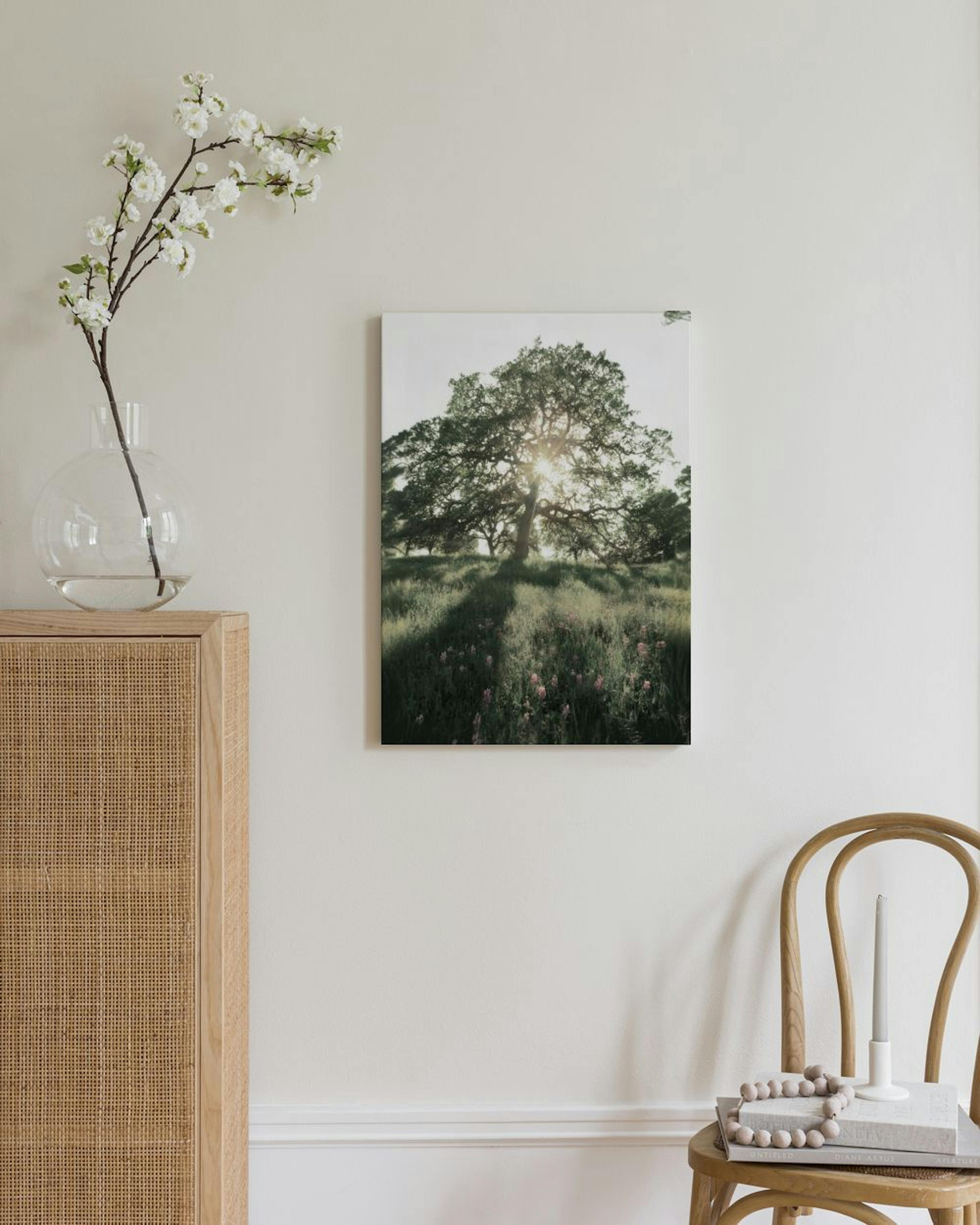 Sun Shining Through Canvas Print thumbnail