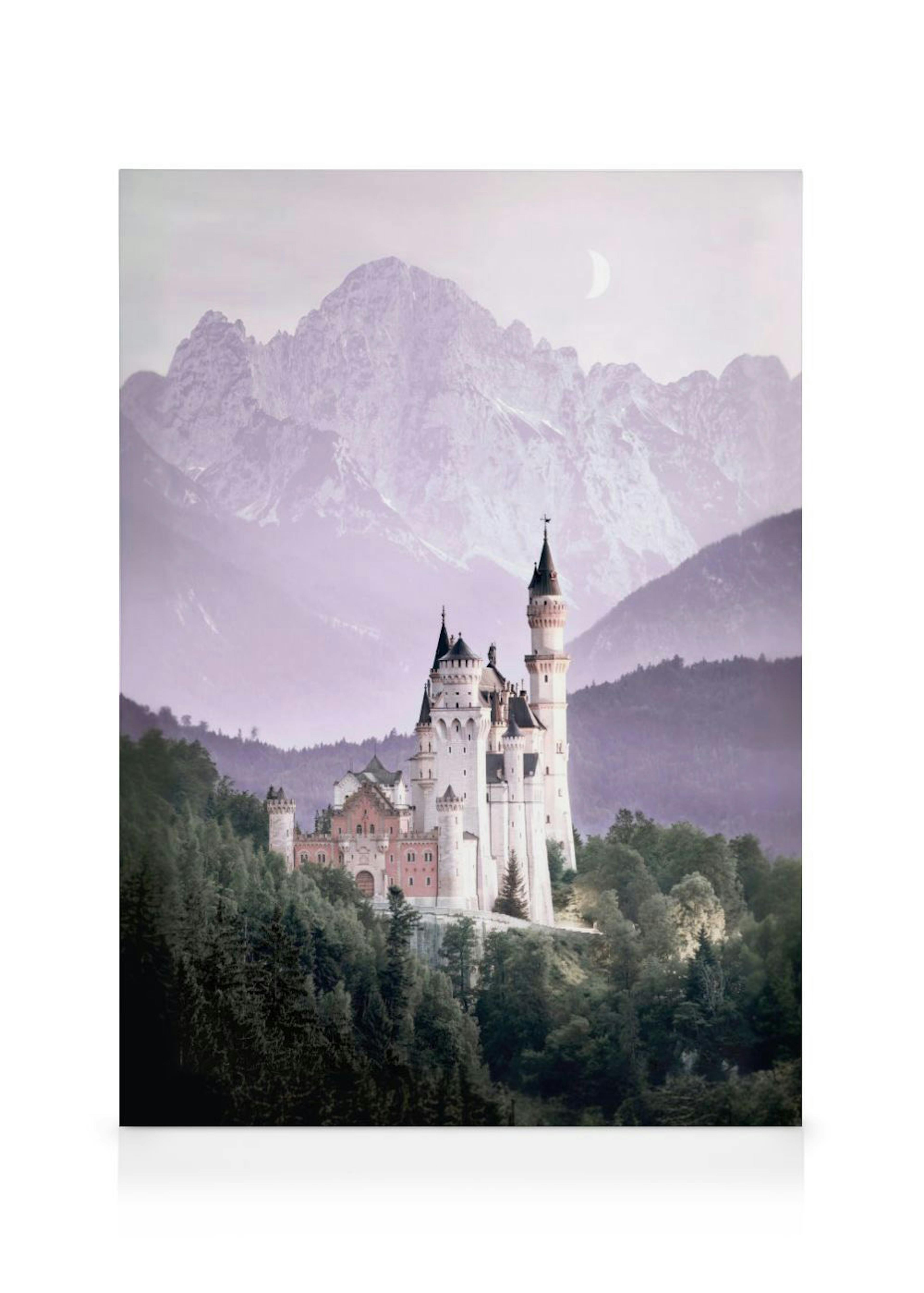 Fairytale Castle Canvas Print 0