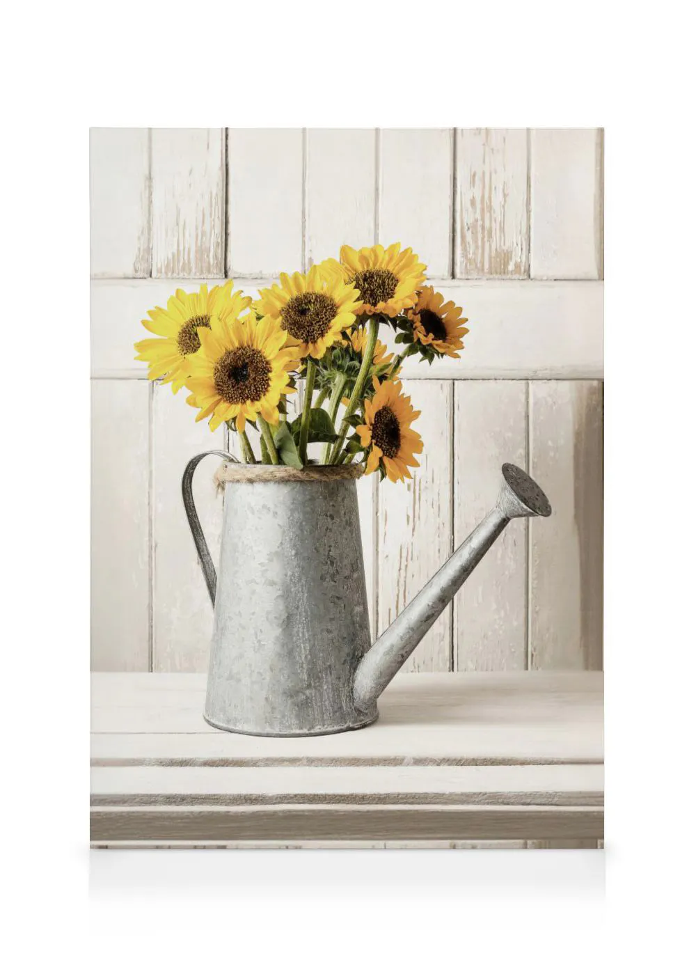 A canvas showing a rustic galvanized watering can filled with bright yellow sunflowers, set against a distressed white wooden ba