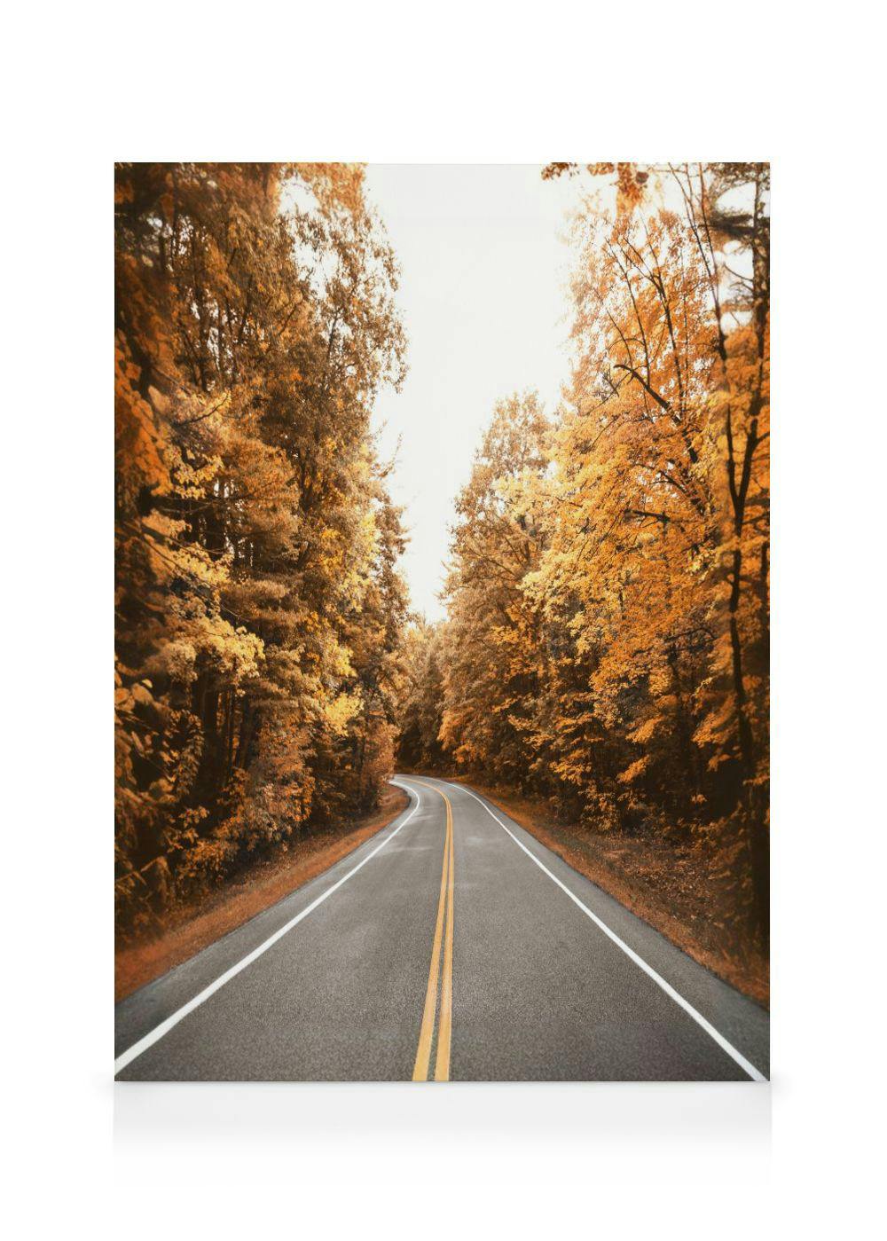 Herbststraße Leinwandbild (50x70 cm - Holzrahmen schwarz) - Poster Store