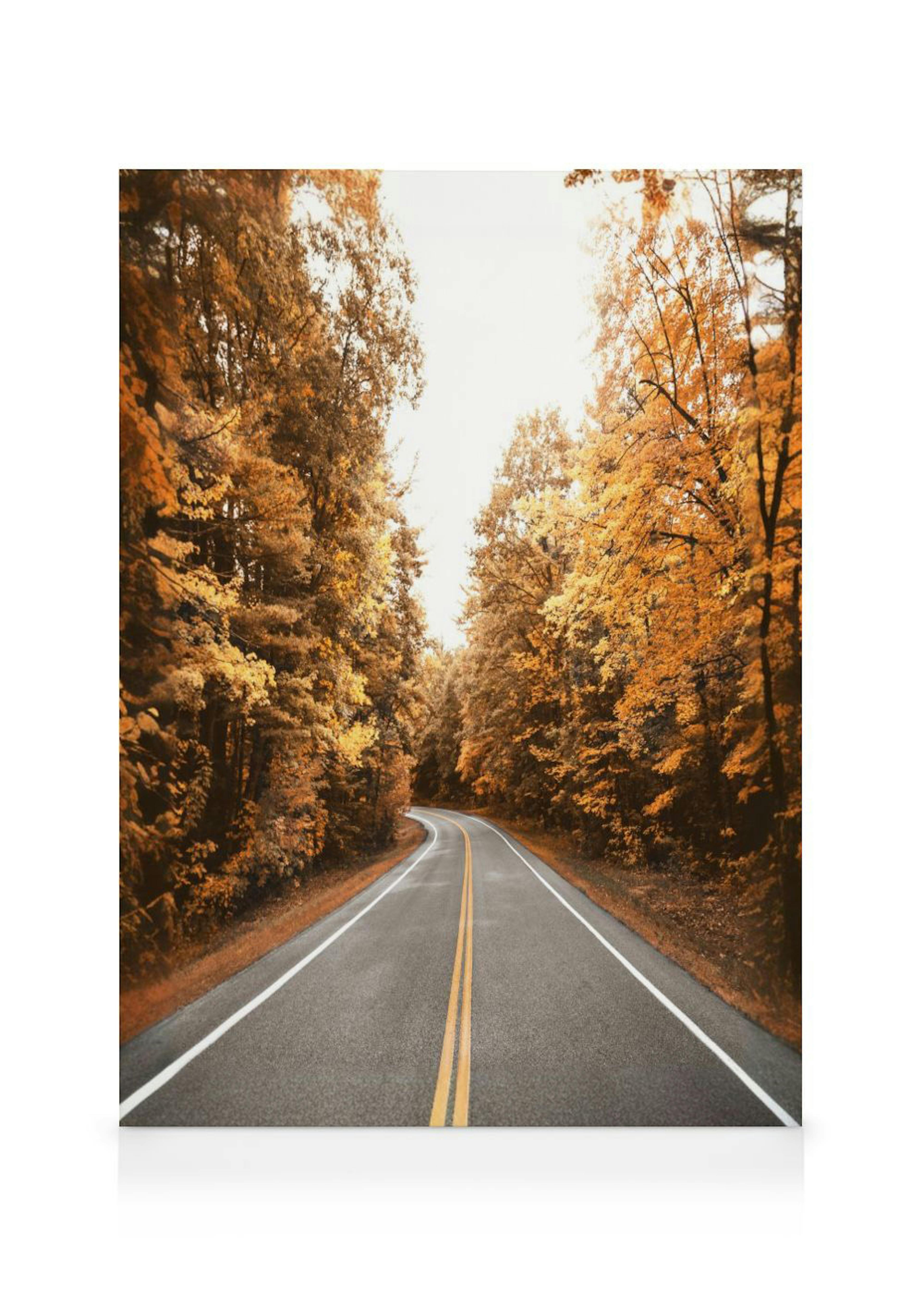 A canvas of a winding road in autumn, surrounded by trees with vibrant orange and yellow foliage.