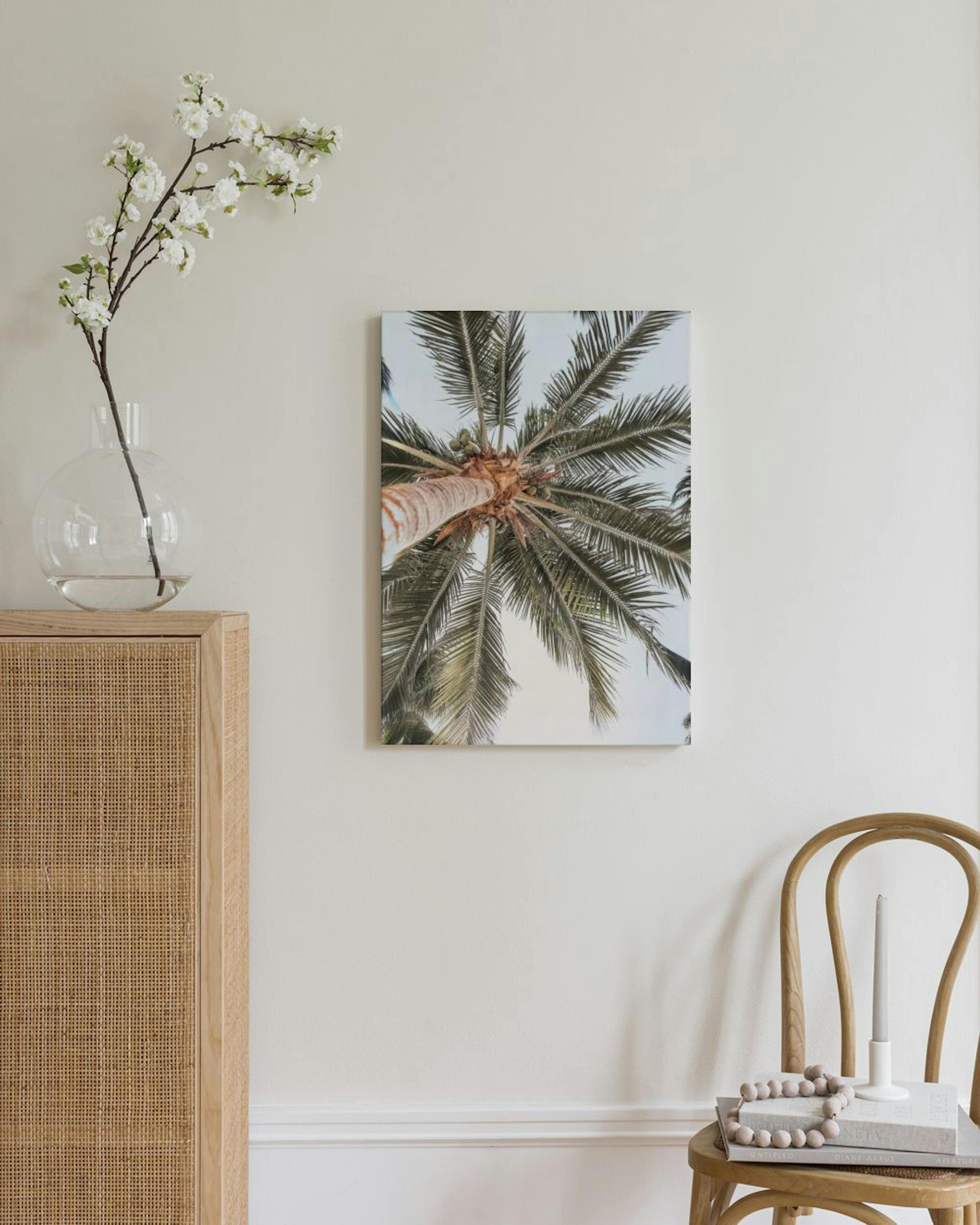 Palm View Canvas print thumbnail