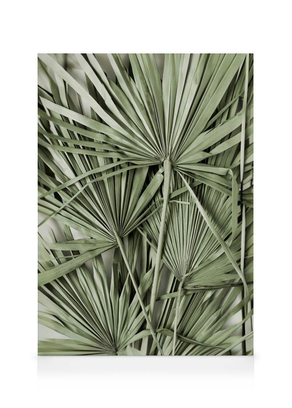 Groene Tropische Bladeren Canvas (70x100 cm - Fotolijst Zwart) - Poster Store