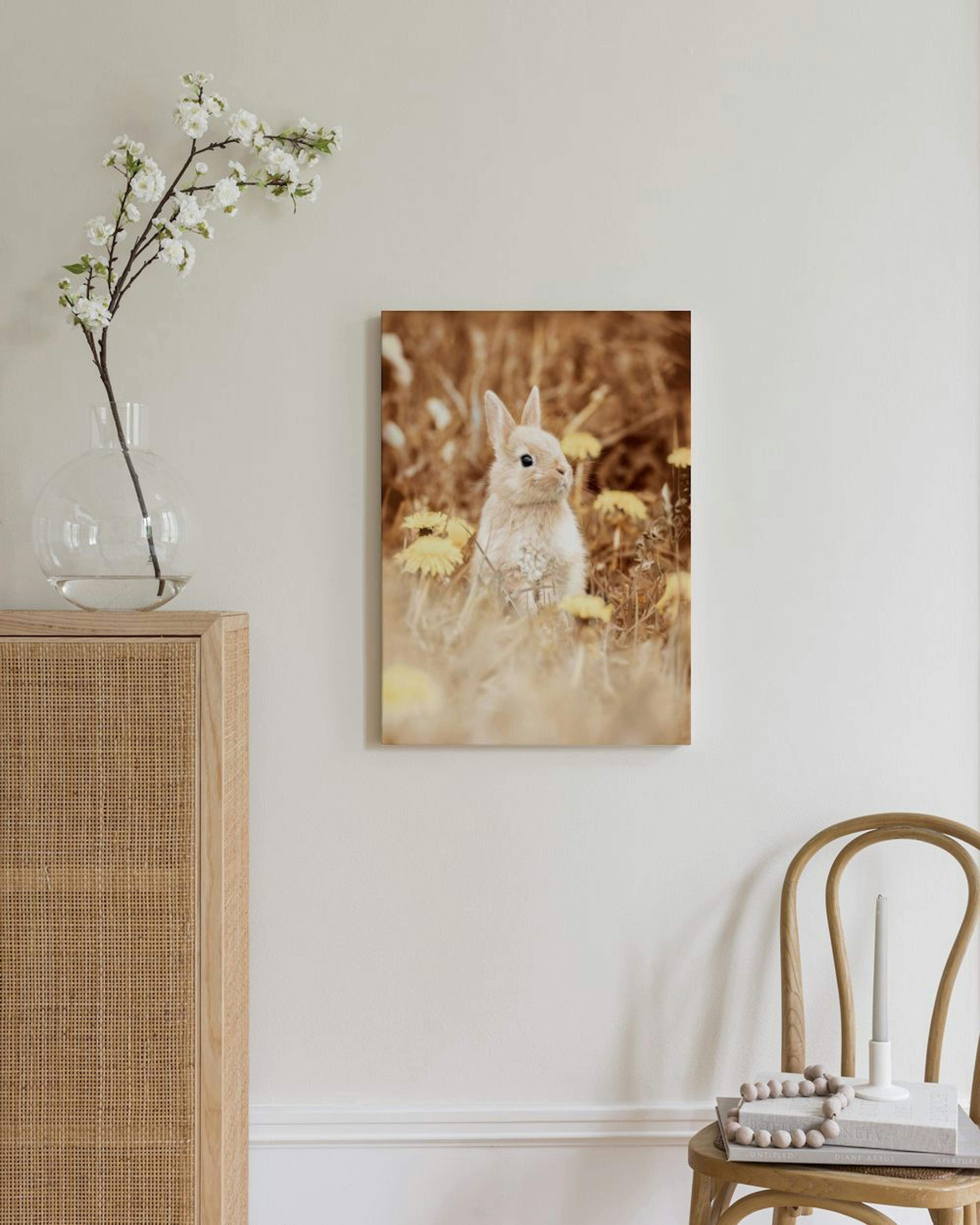 Curious Rabbit Canvas print thumbnail