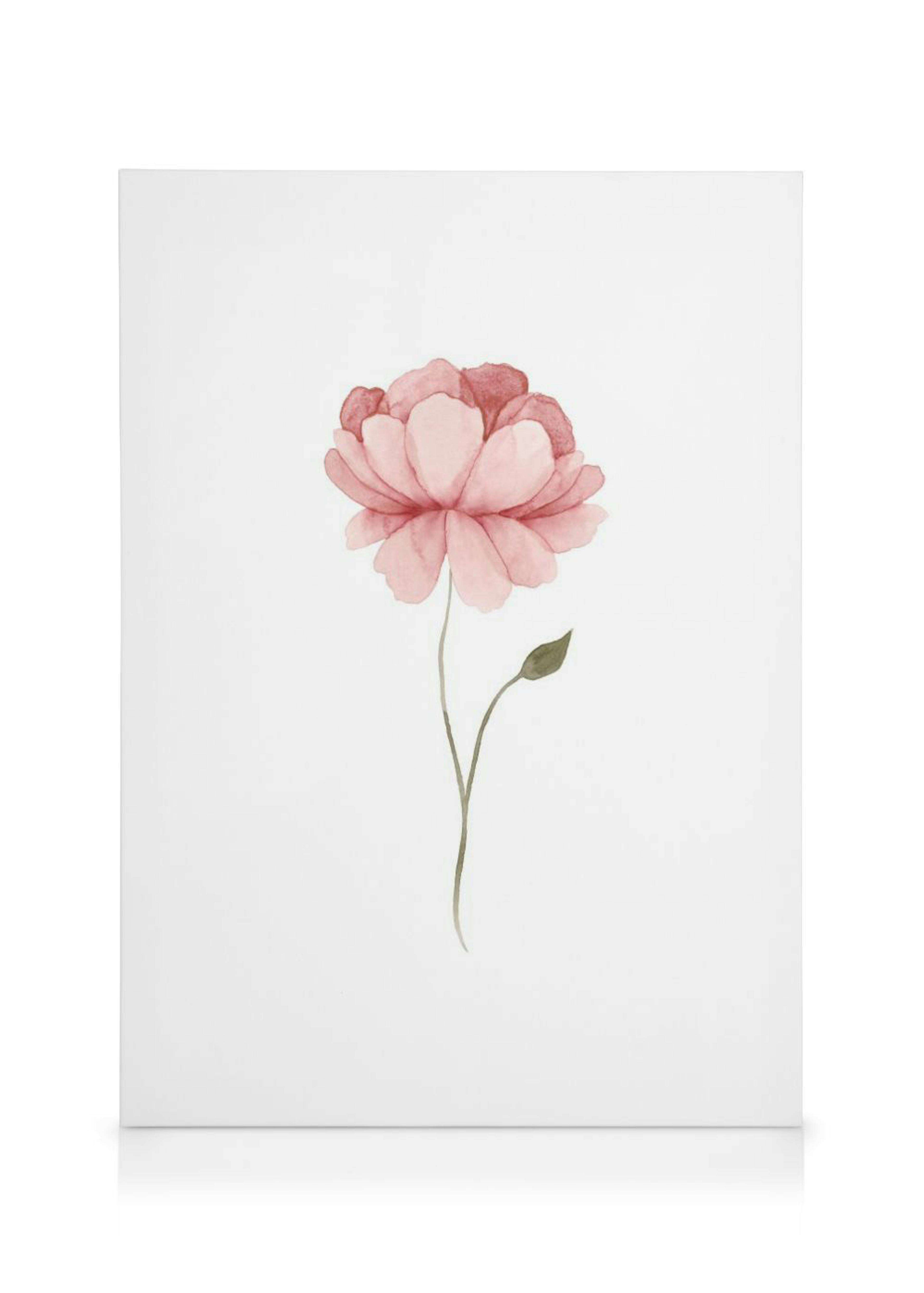 Stampa su tela con unillustrazione minimale ad acquerello di una peonia rosa su sfondo bianco.