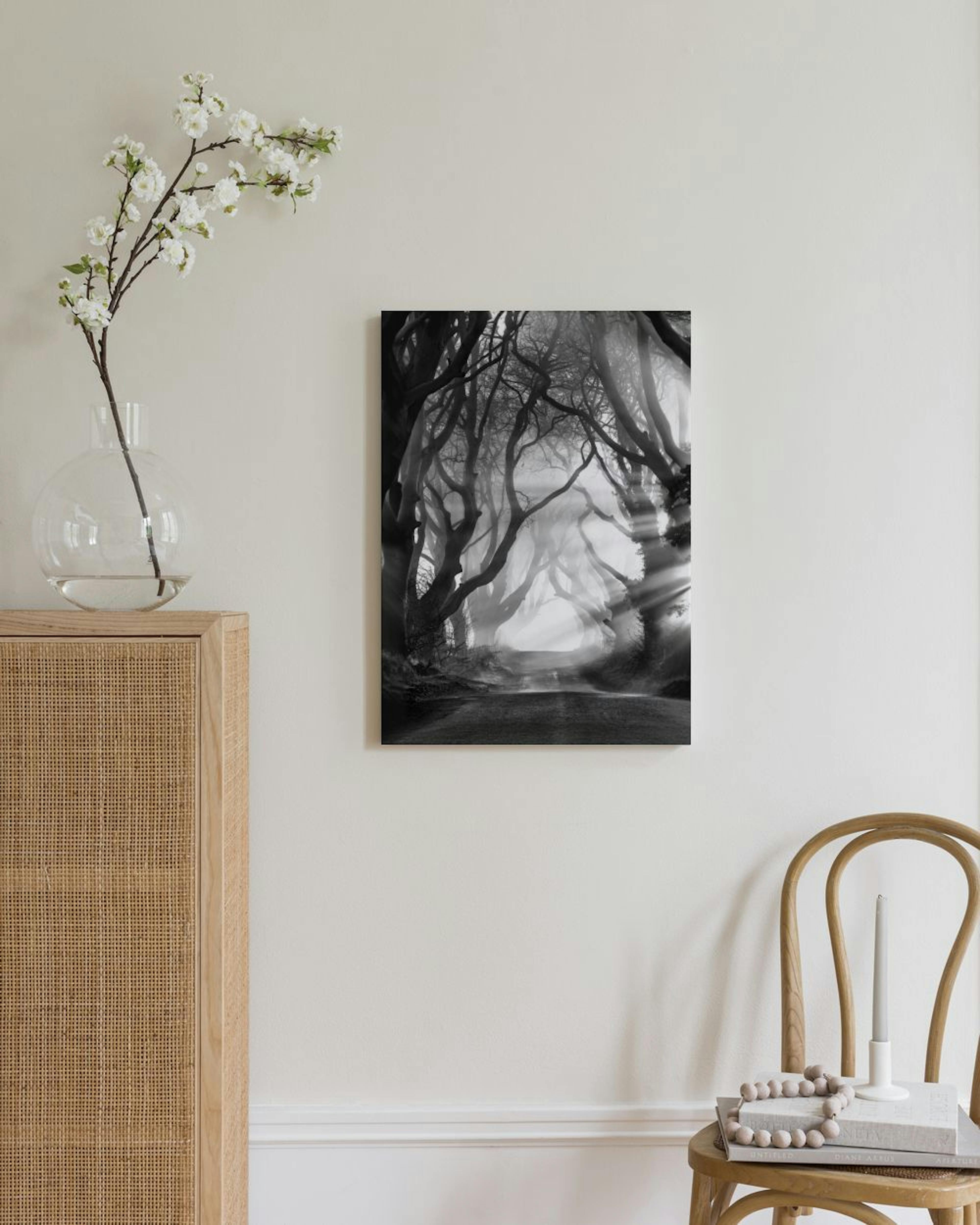 Dark Hedges Canvas Print thumbnail