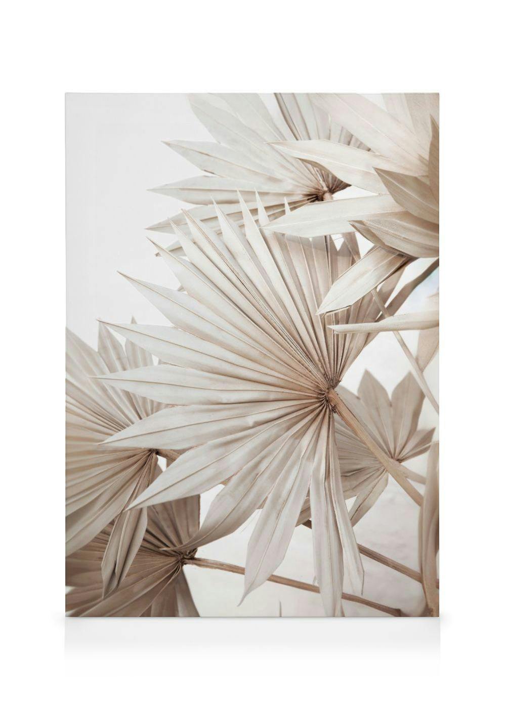Beige Palm No1 Canvas (50x70 cm - Fotolijst Eiken) - Poster Store