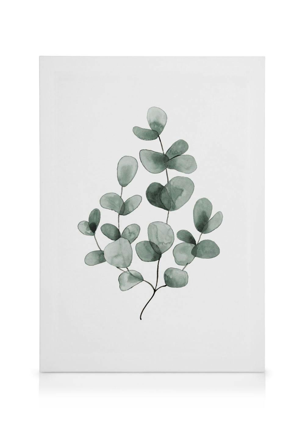 Eucalyptus No1 Leinwandbild (50x70 cm - Holzrahmen schwarz) - Poster Store