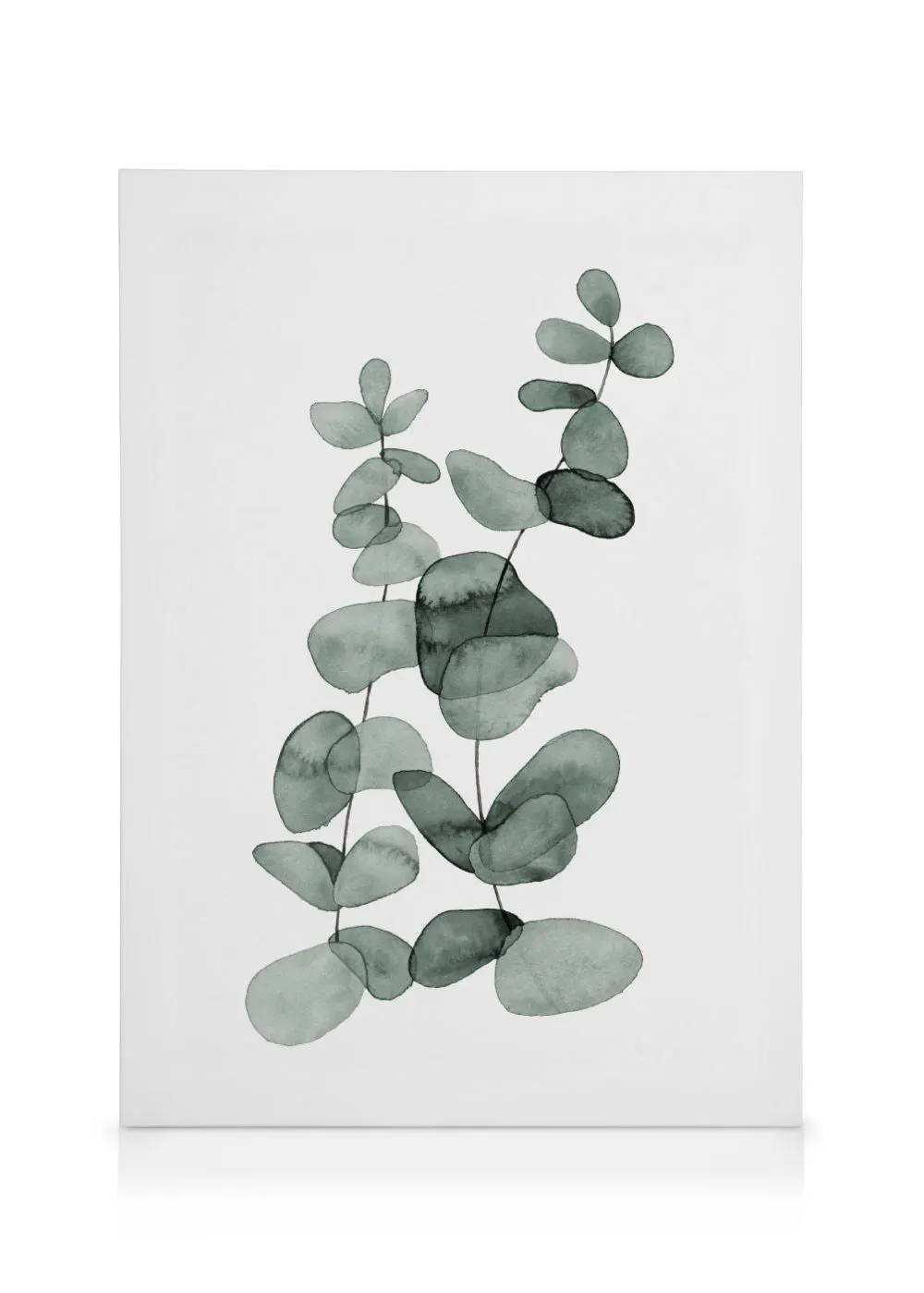 A minimalist botanical canvas featuring watercolor eucalyptus leaves in muted green tones on a white background.