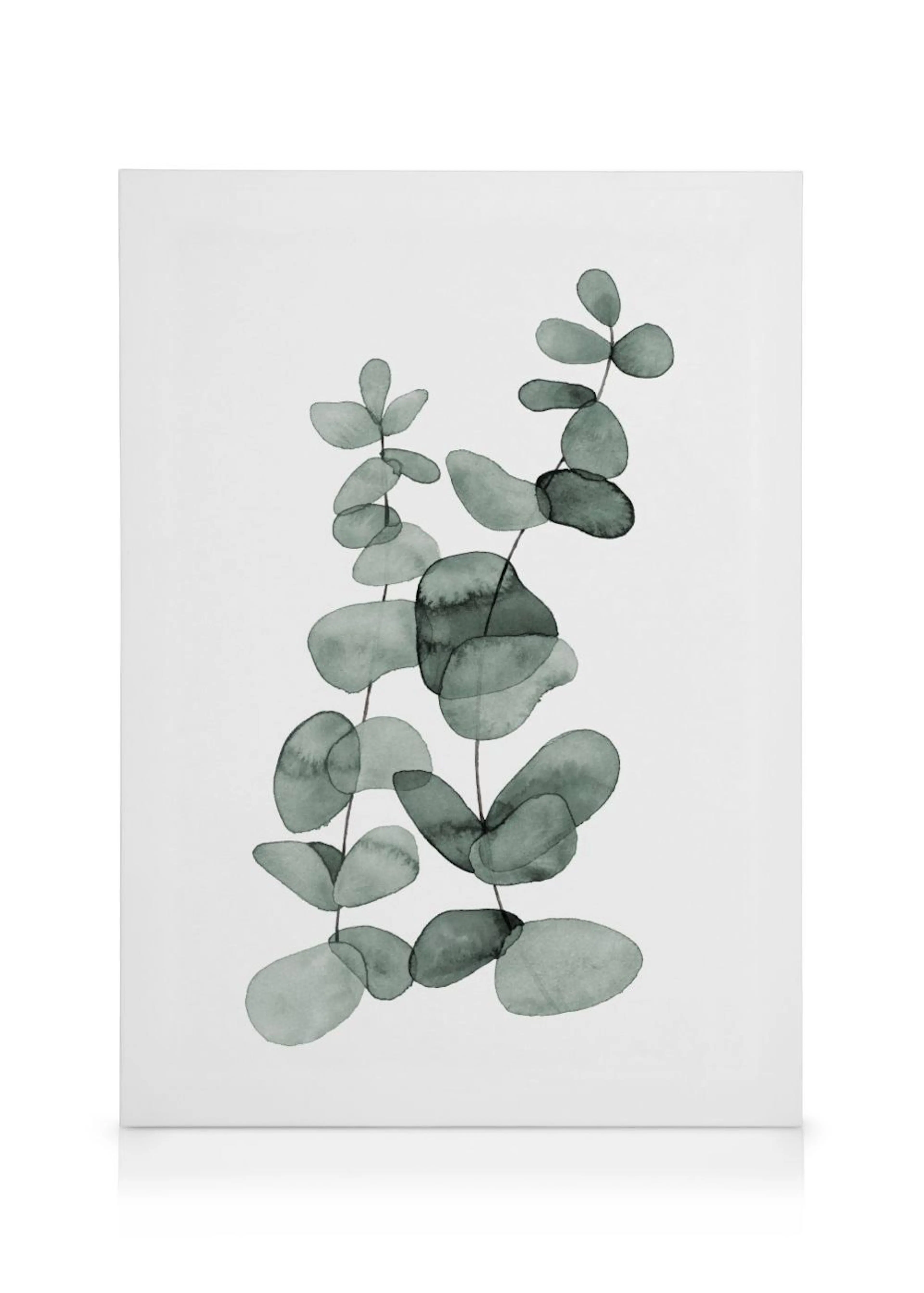 A minimalist botanical canvas featuring watercolor eucalyptus leaves in muted green tones on a white background.
