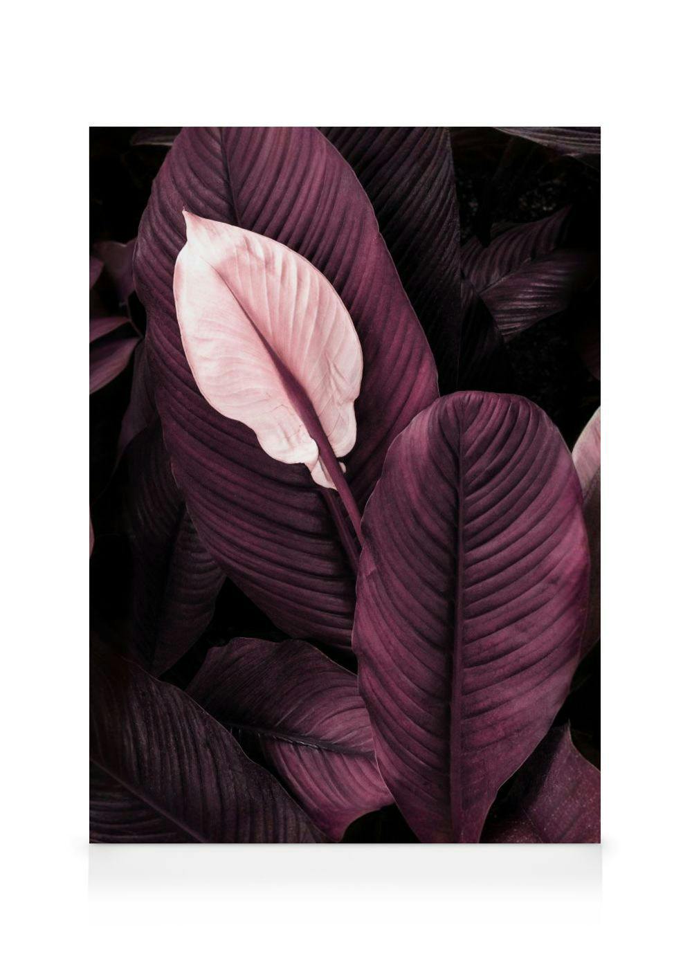 Paarse Bladeren No1 Canvas (70x100 cm - Fotolijst Eiken) - Poster Store