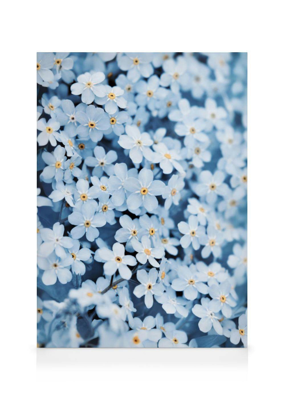 Canvas Prints - Blue Flower Bed Canvas print (70x100 cm - Black Frame) - Poster Store