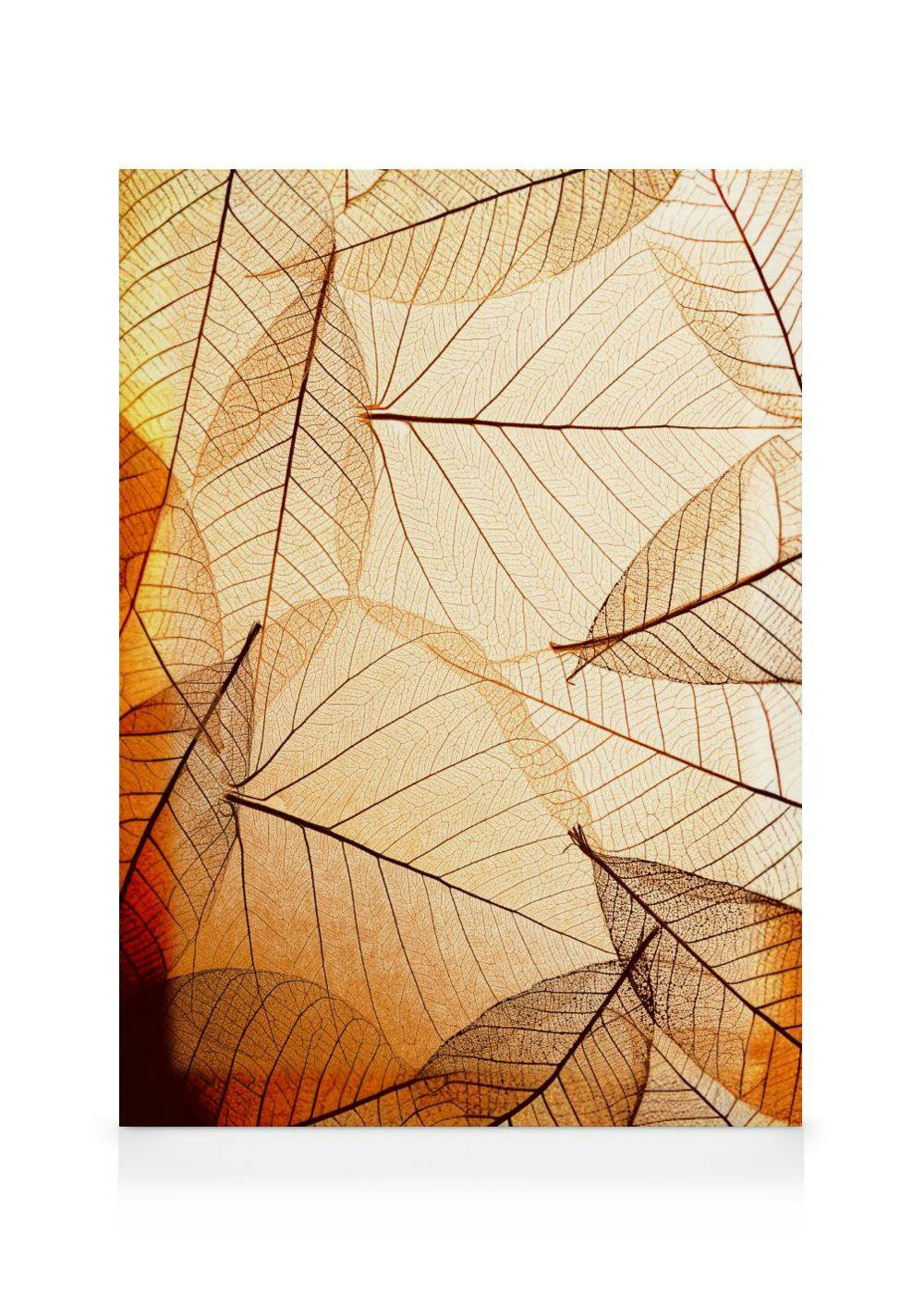 Leinwandbild mit einer Nahaufnahme durchscheinender, skelettierter Blätter in warmen Braun- und Orangetönen auf hellem Hintergru