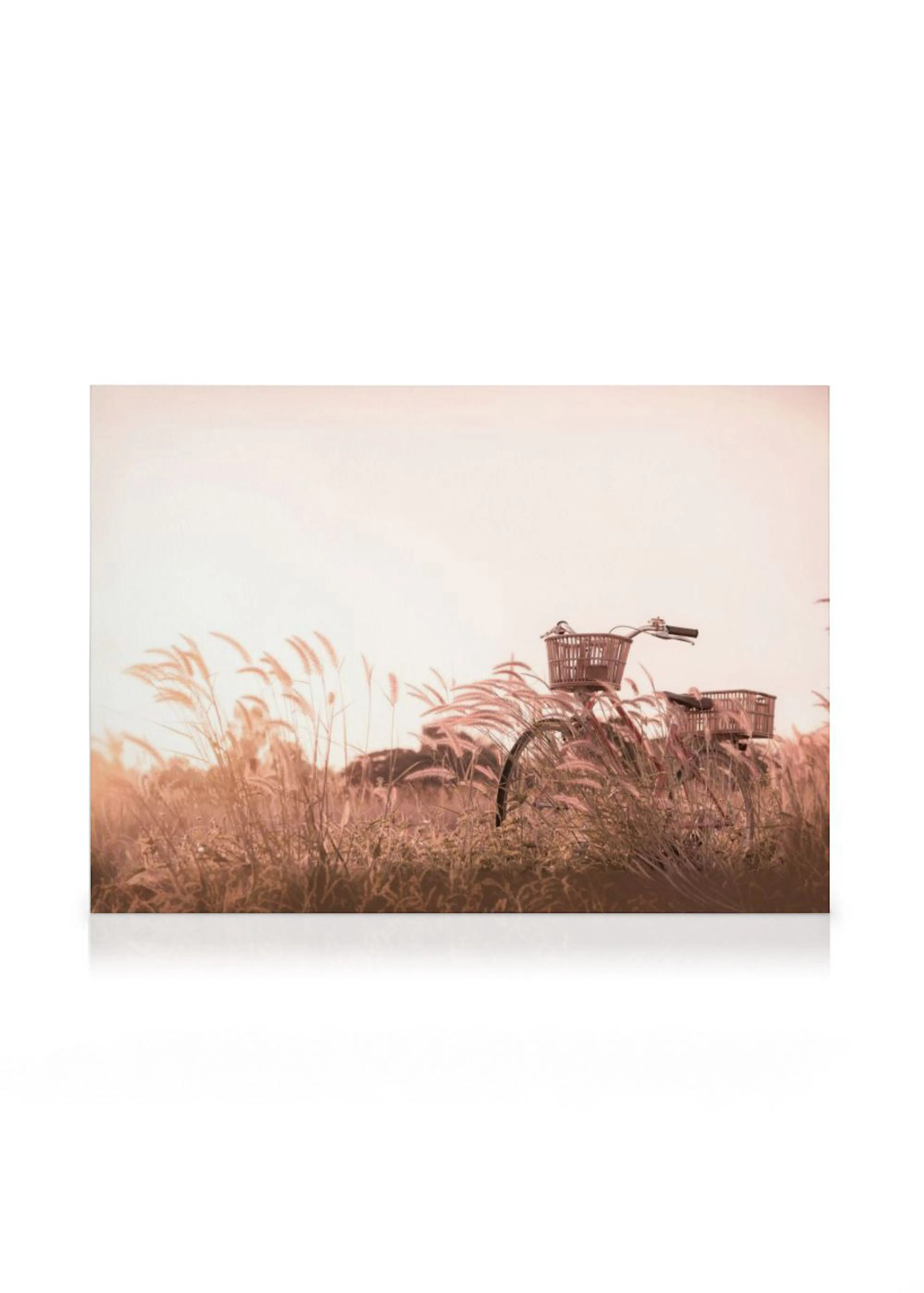 A canvas print of a bicycle with baskets in an overgrown field of tall grass with a soft, warm light.