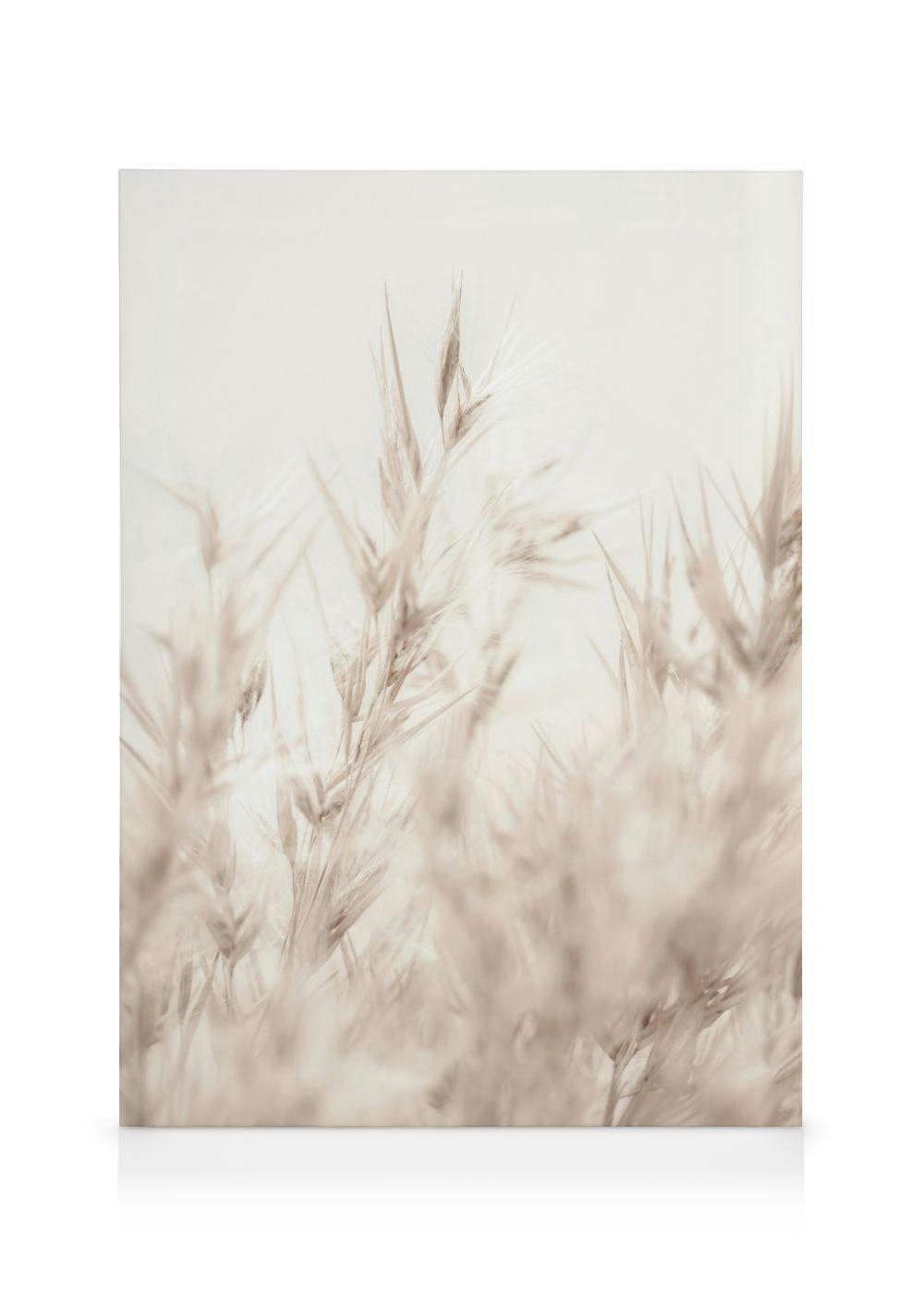 Beige Riet Canvas (70x100 cm - Fotolijst Zwart) - Poster Store