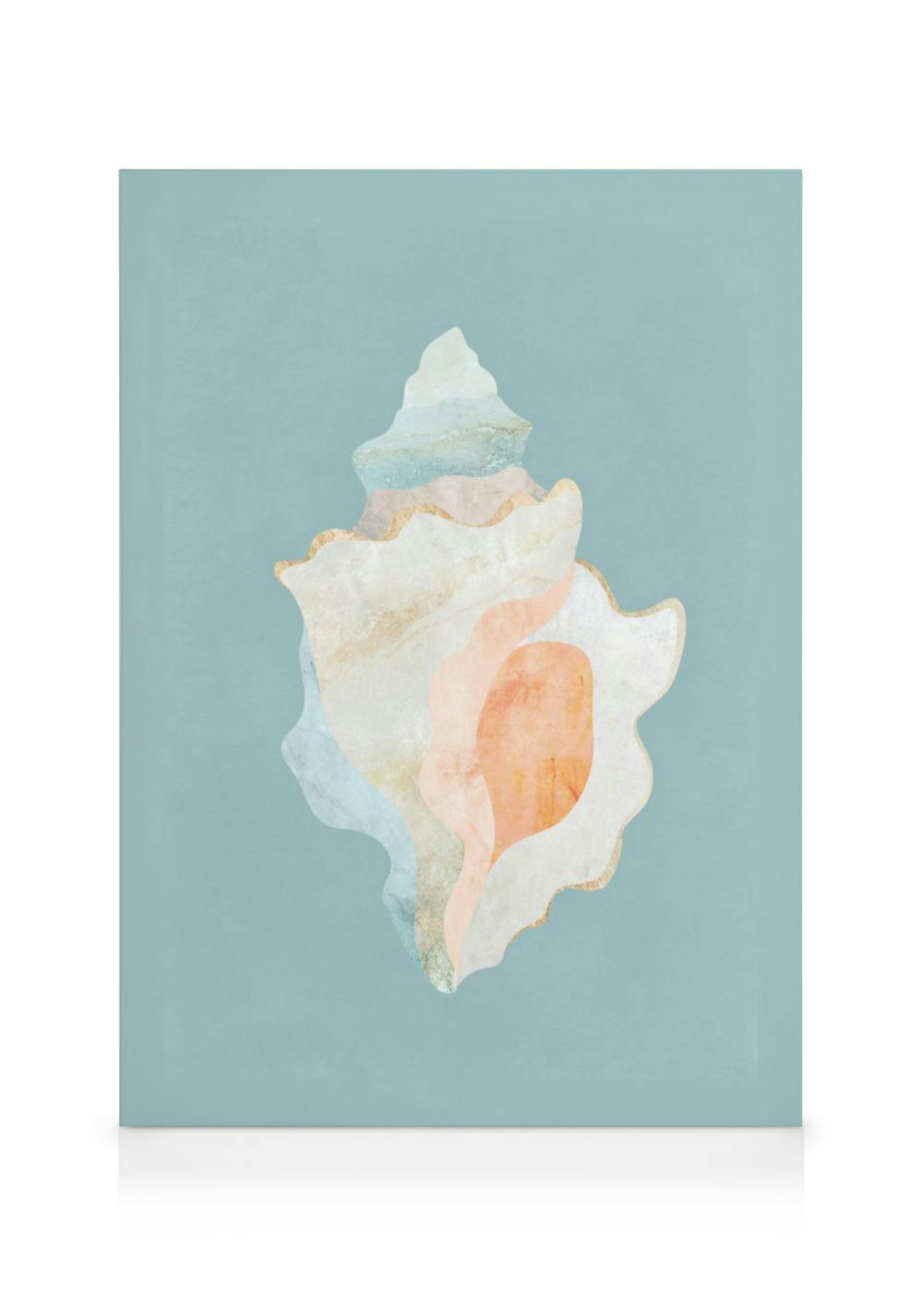 Graphic Seashell Leinwand 0