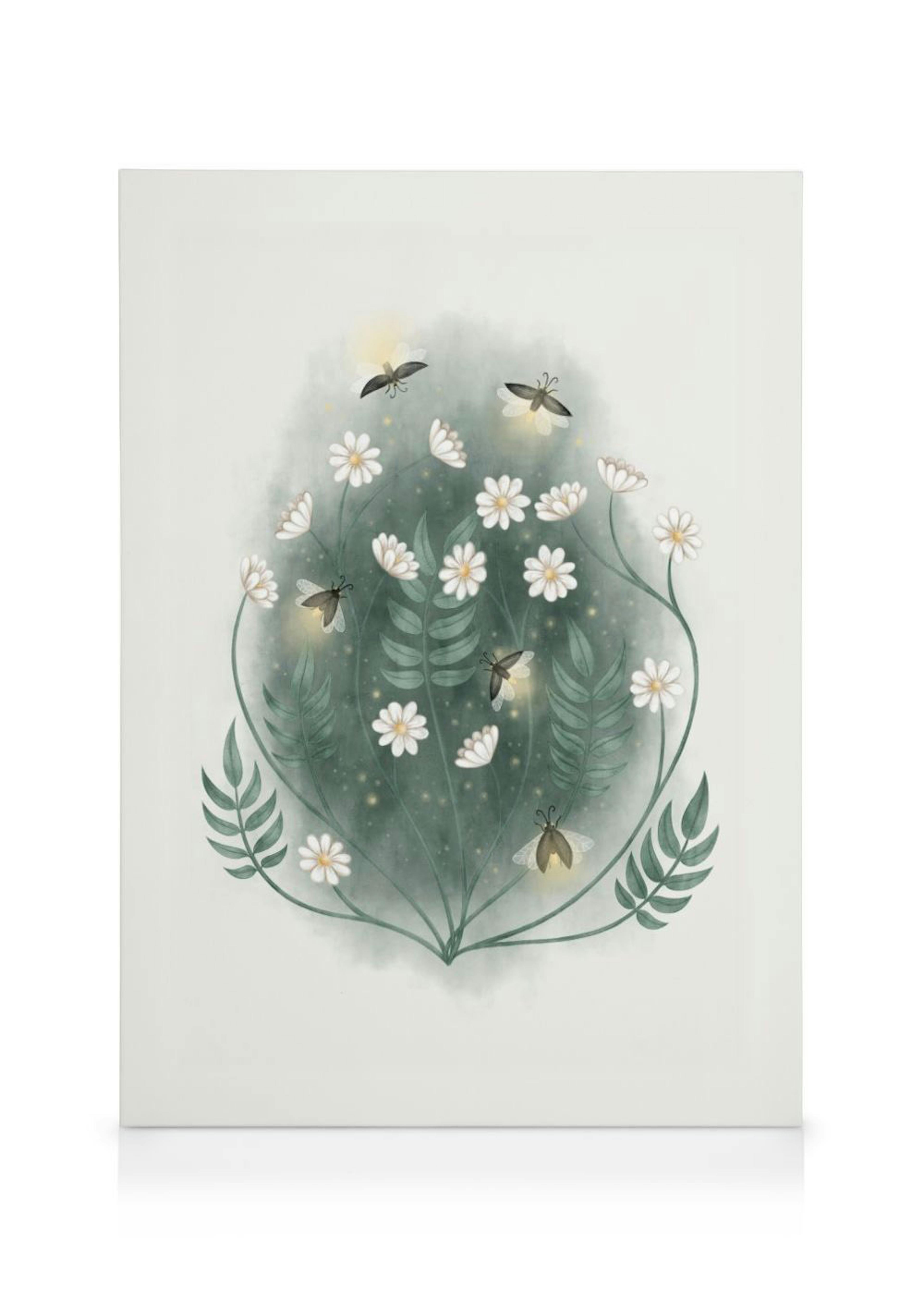 Firefly Flower Canvas Print 0