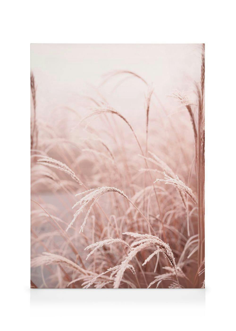 Frostige Riet Canvas (50x70 cm - Fotolijst Zwart) - Poster Store