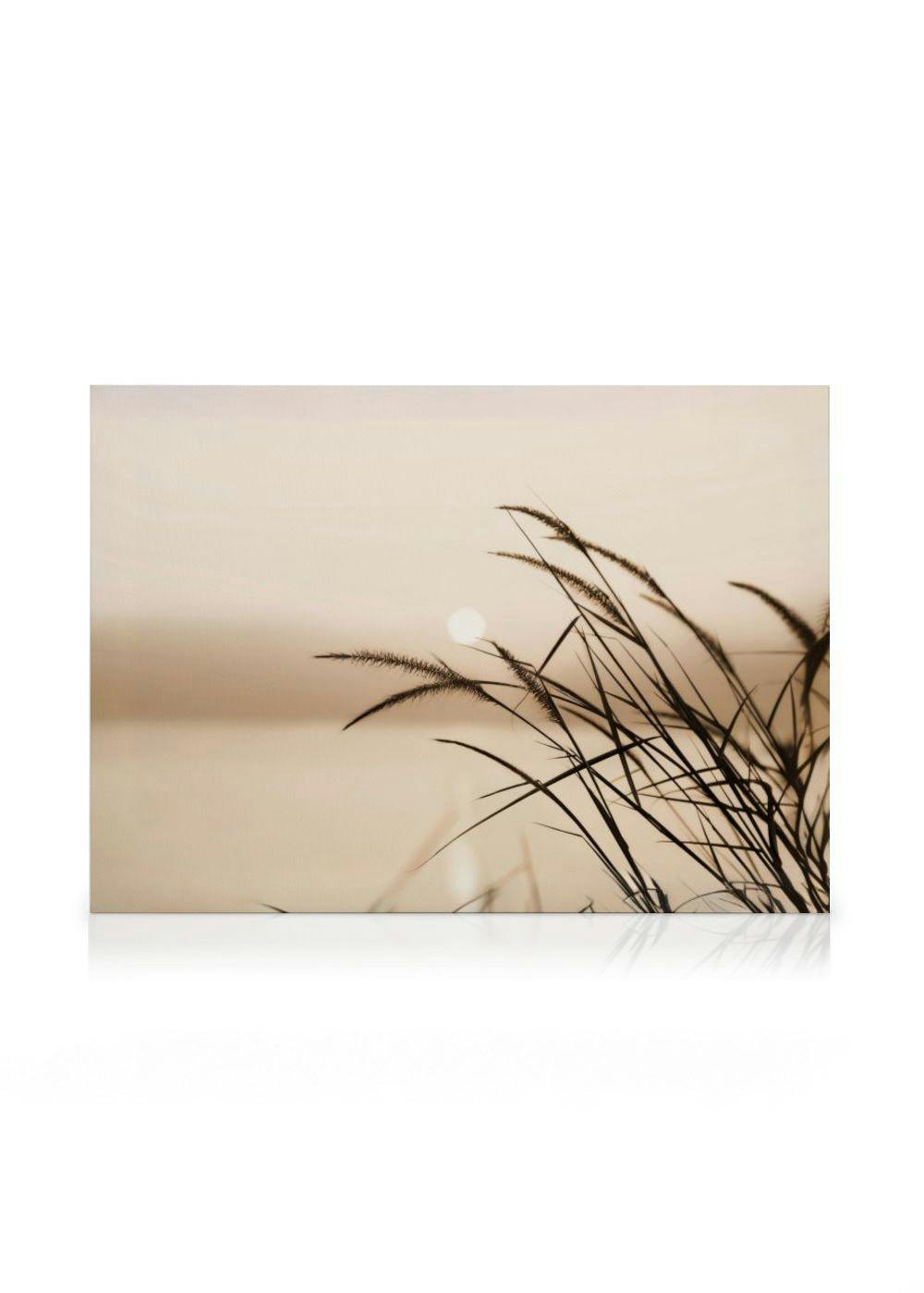 Canvas Prints - Reed Silhouette Canvas print (70x100 cm - Black Frame) - Poster Store