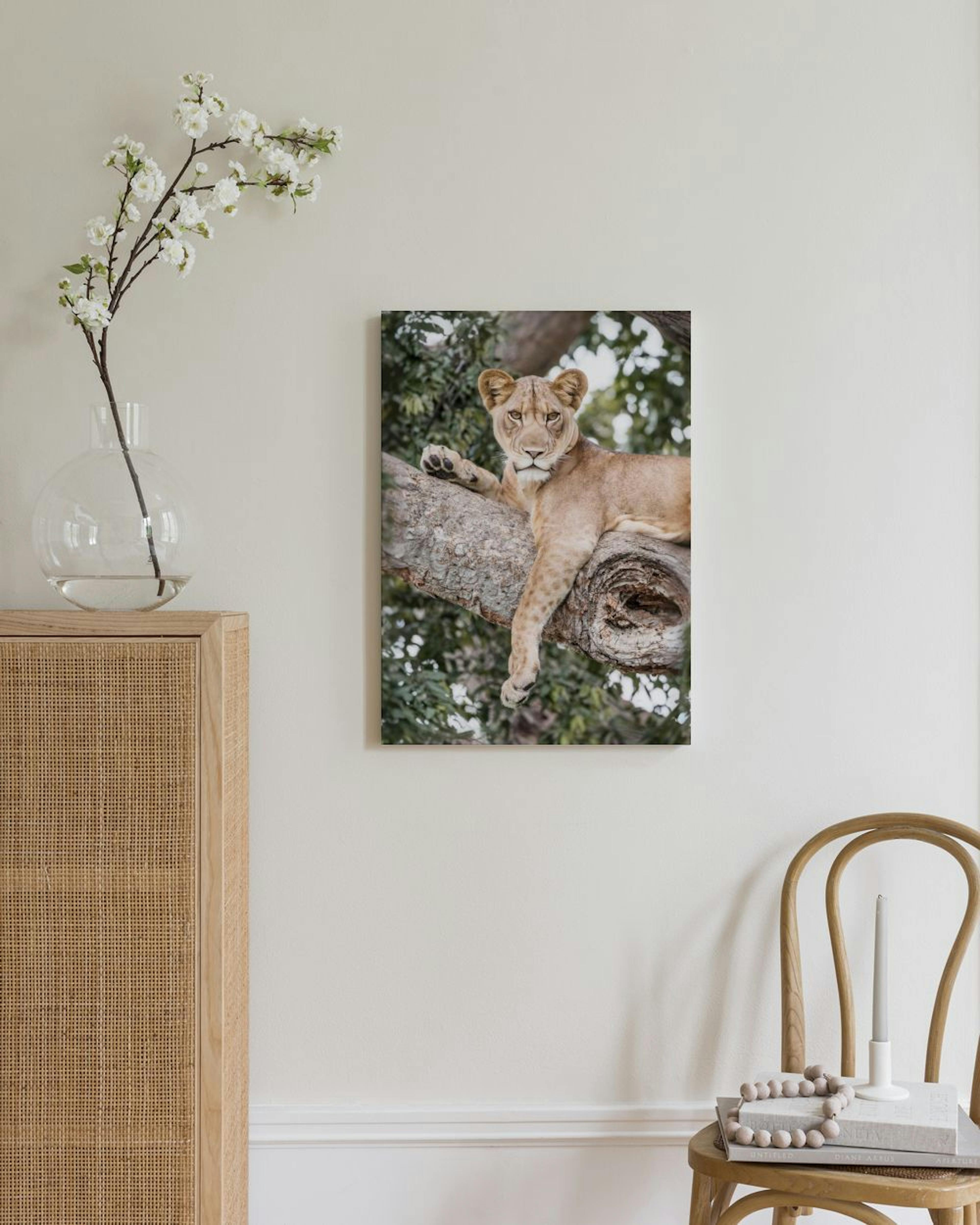 Relaxing Lioness Canvas thumbnail