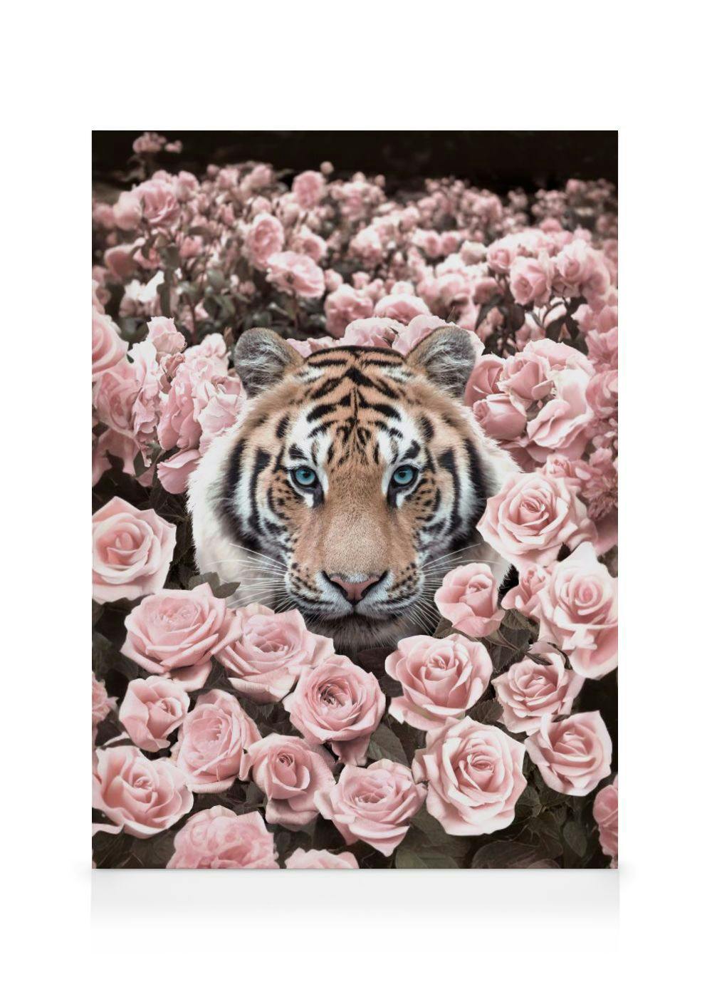 Roze Tijgerroos Canvas (30x40 cm - Fotolijst Zwart) - Poster Store